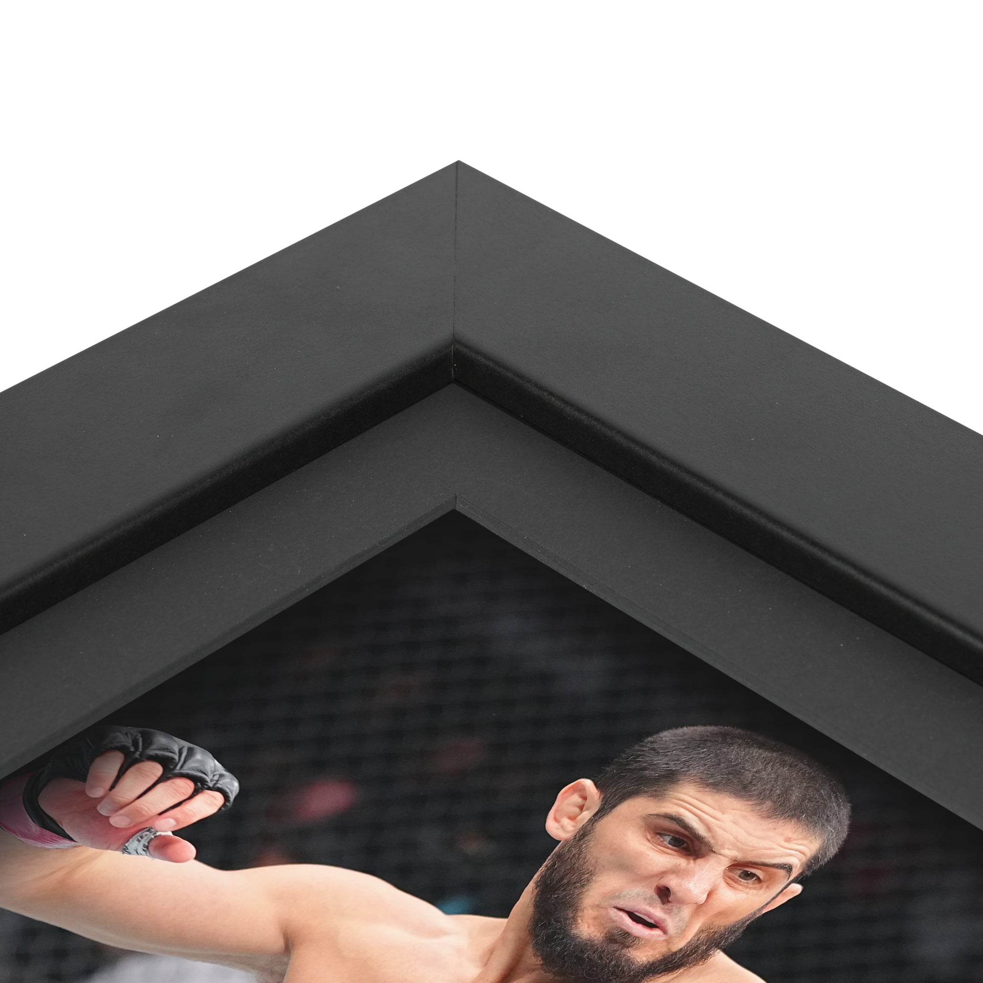 UFC 330: Makhachev vs Machado Garry Canvas & Photo