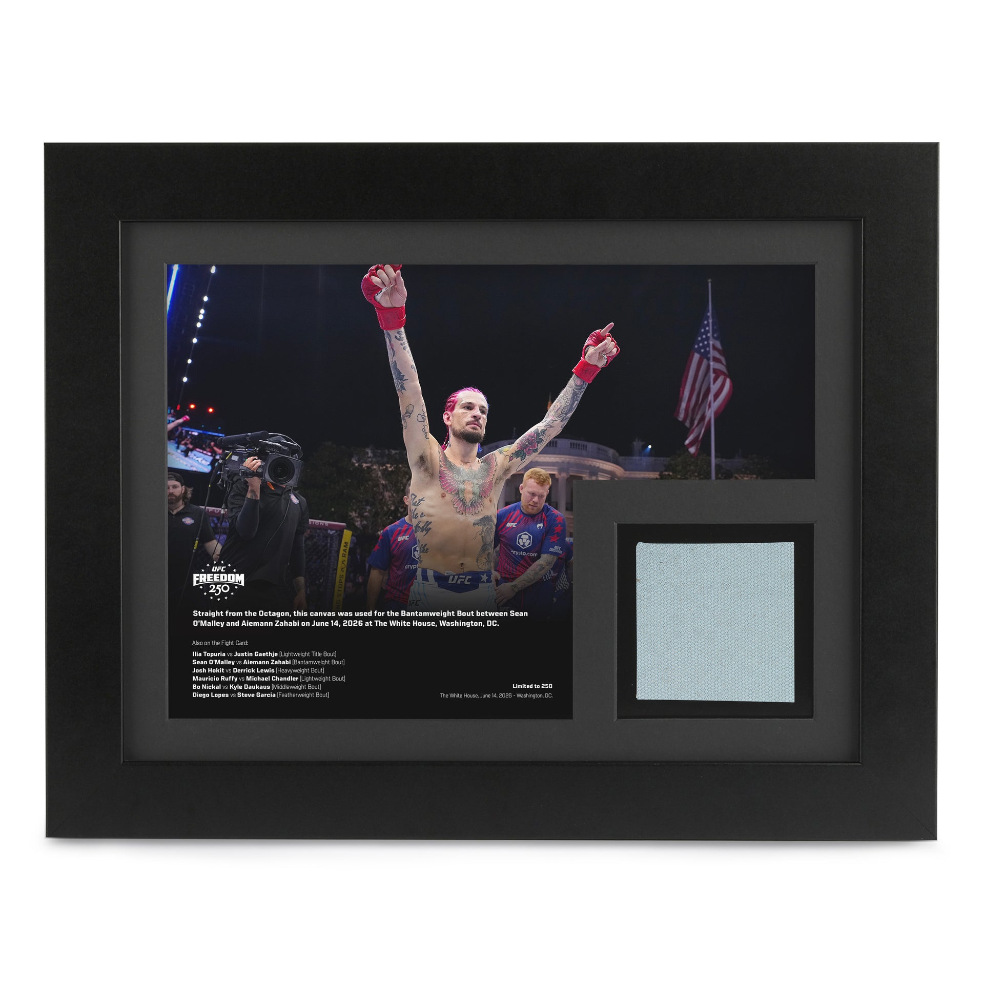 UFC Freedom 250: O'Malley vs Zahabi Canvas & Photo