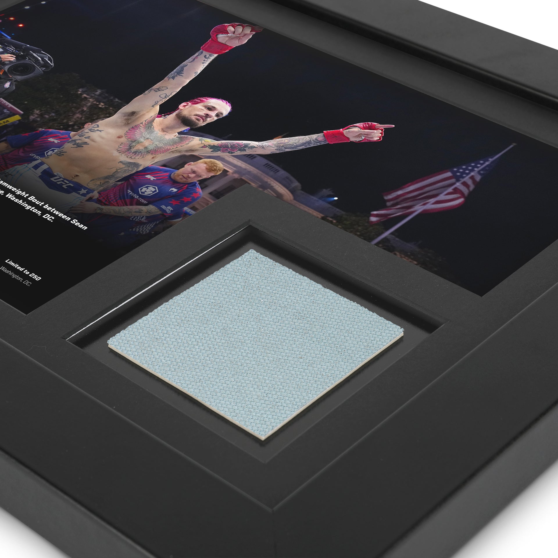 UFC Freedom 250: O'Malley vs Zahabi Canvas & Photo