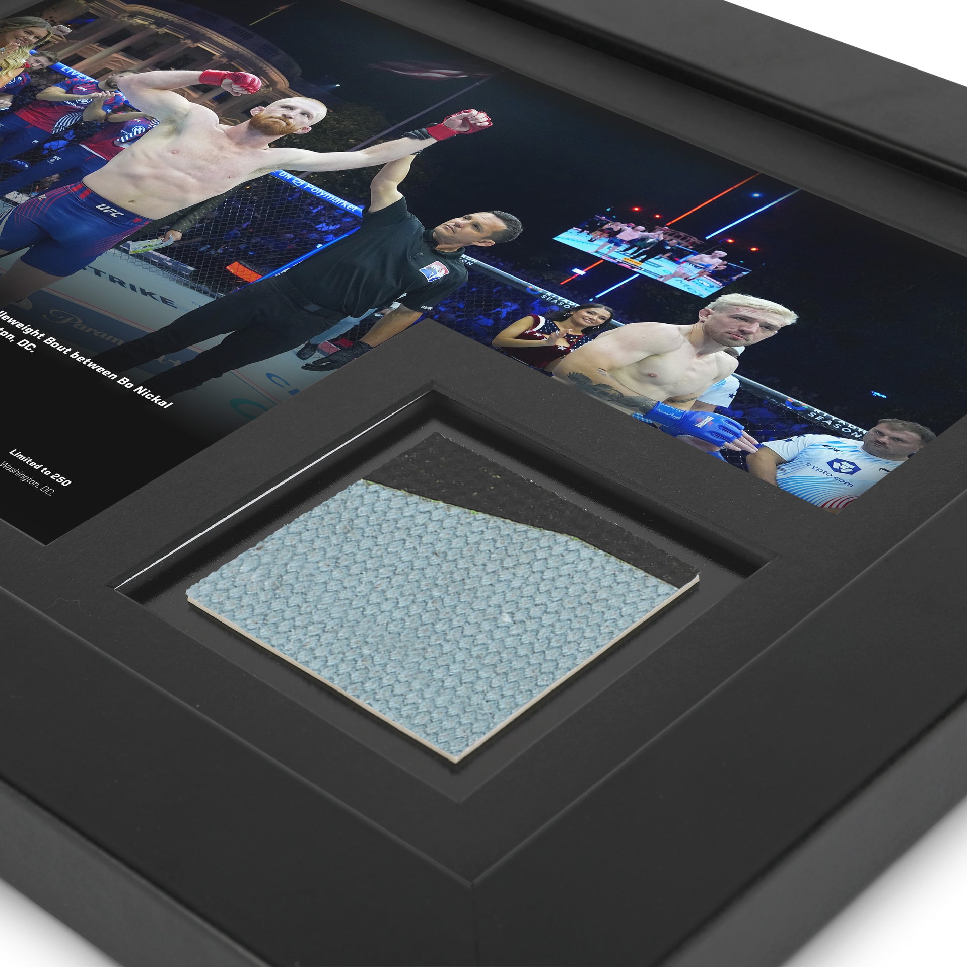 UFC Freedom 250: Nickal vs Daukaus Canvas & Photo