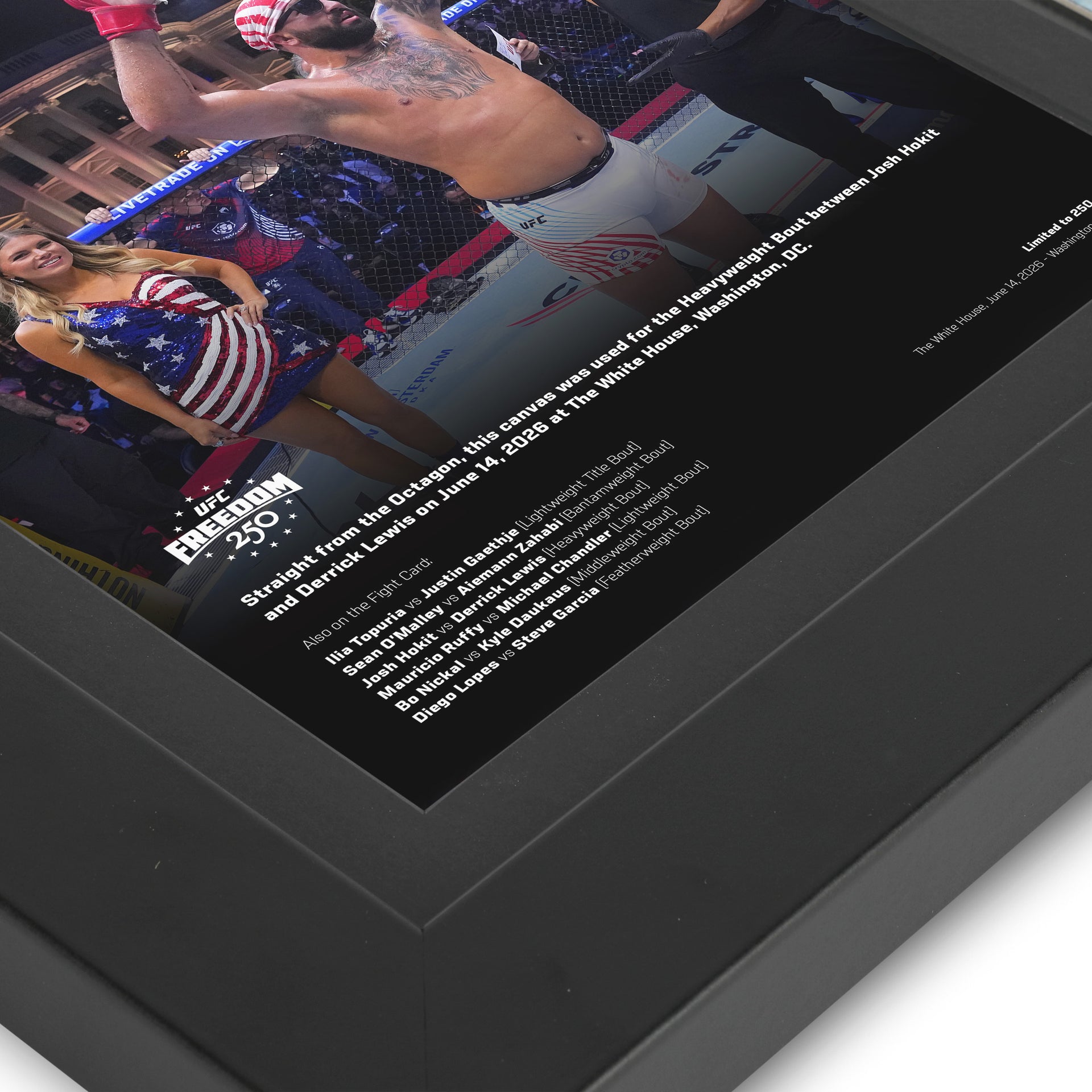 UFC Freedom 250: Hokit vs Lewis Canvas & Photo