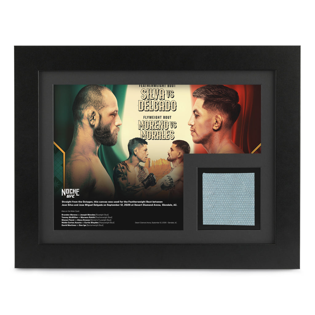Noche UFC: Silva vs Delgado Canvas & Photo