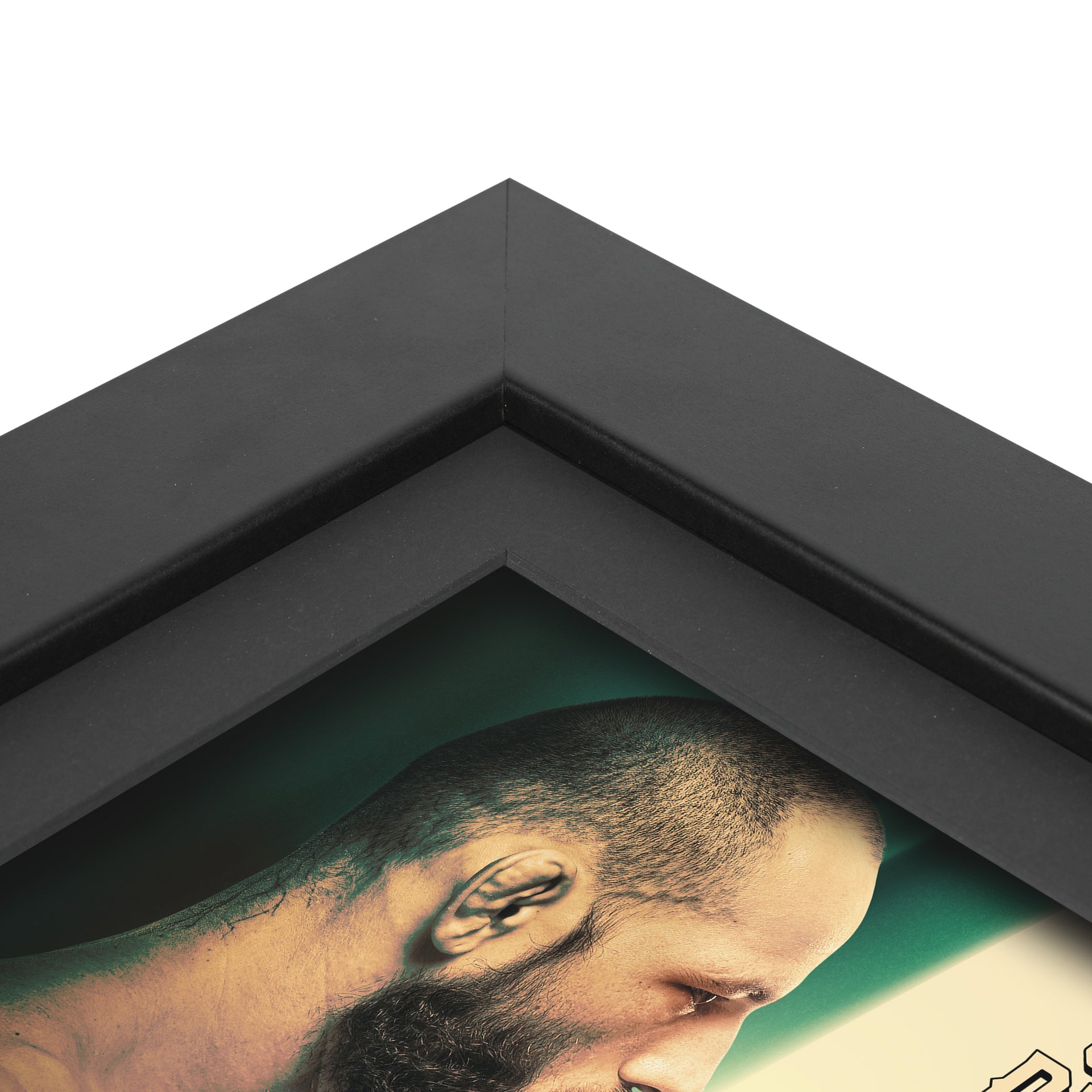 Noche UFC: Silva vs Delgado Canvas & Photo