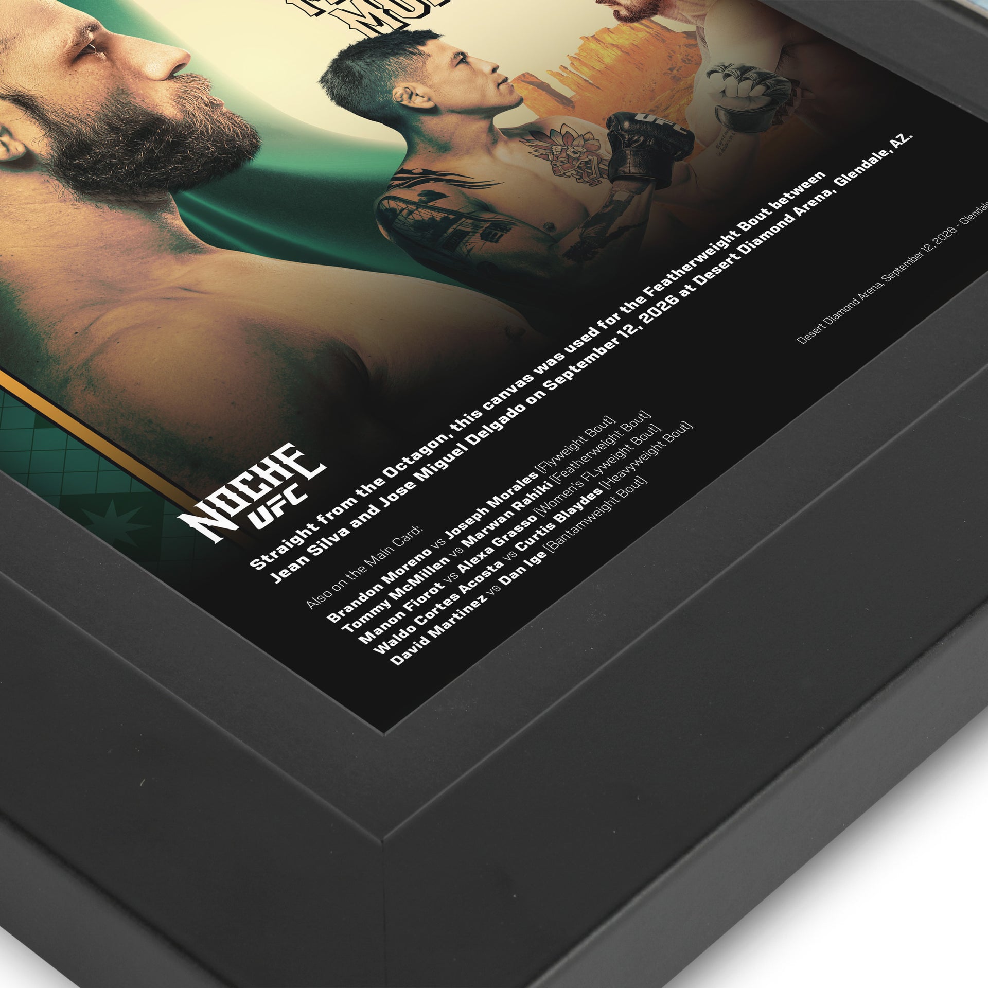 Noche UFC: Silva vs Delgado Canvas & Photo