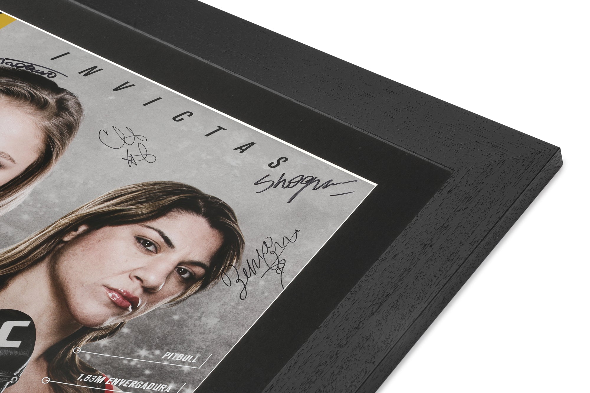 UFC 190: Rousey vs Correia Autographed Event Poster