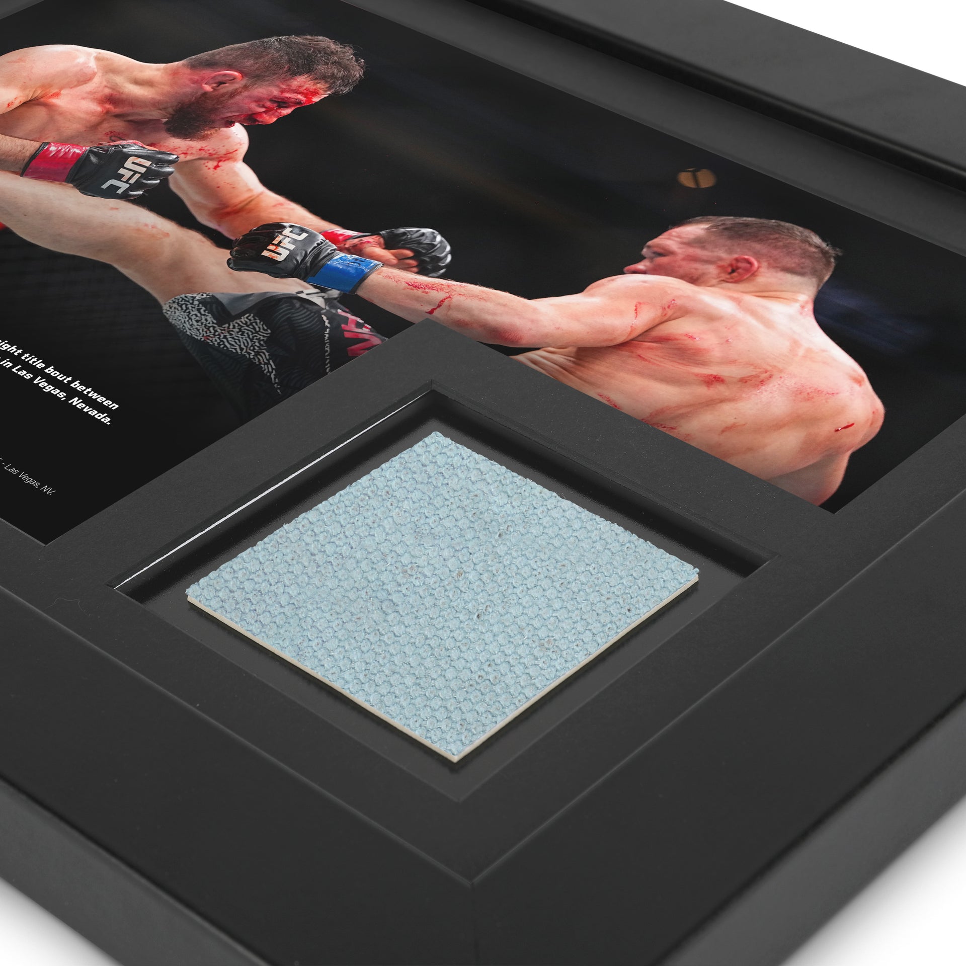 UFC 323: Dvalishvili vs Yan 2 Canvas & Photo