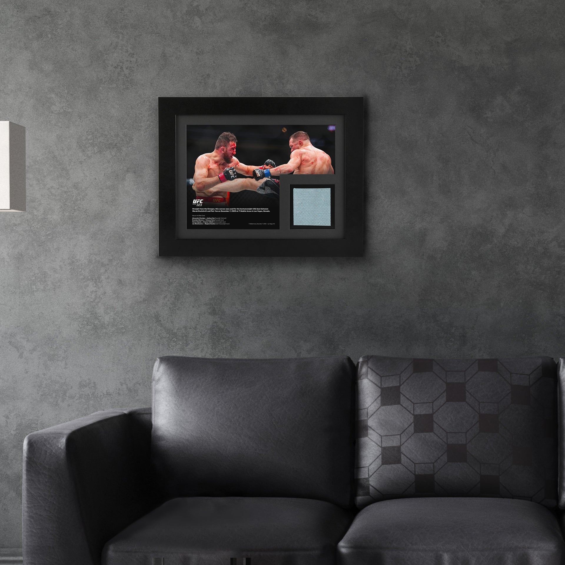 UFC 323: Dvalishvili vs Yan 2 Canvas & Photo