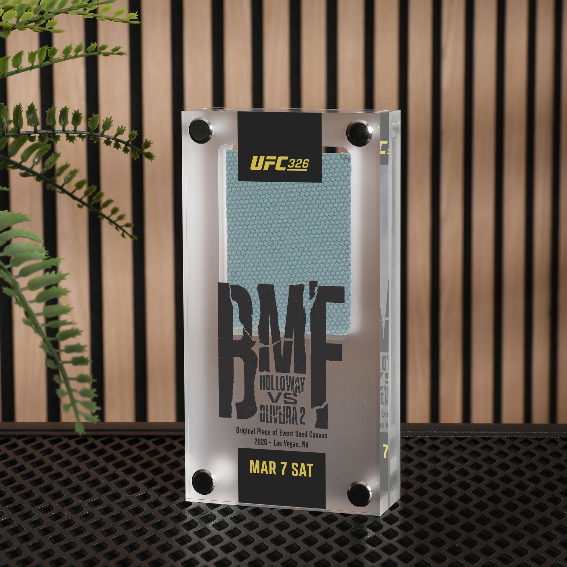 UFC 326: Holloway vs Oliveira 2 Canvas in Acrylic