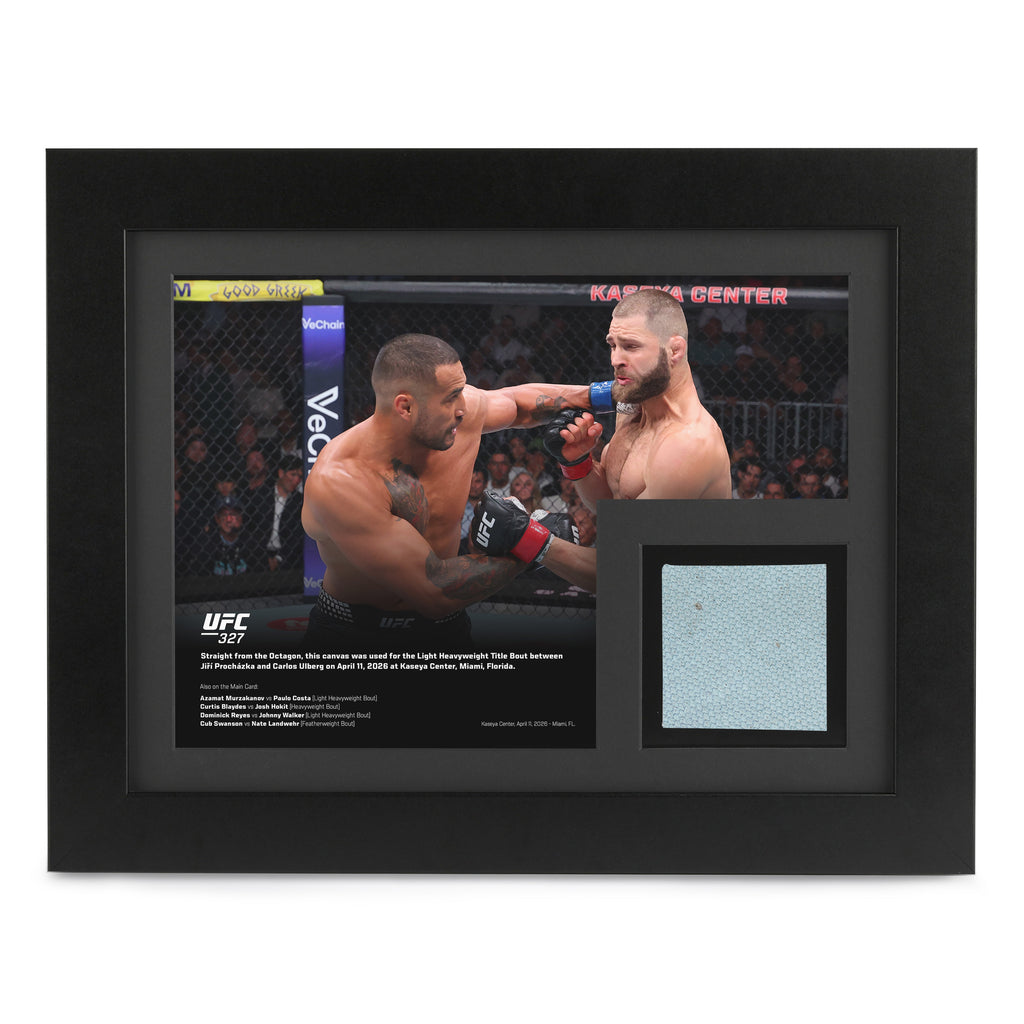 UFC 327: Procházka vs Ulberg Canvas & Photo