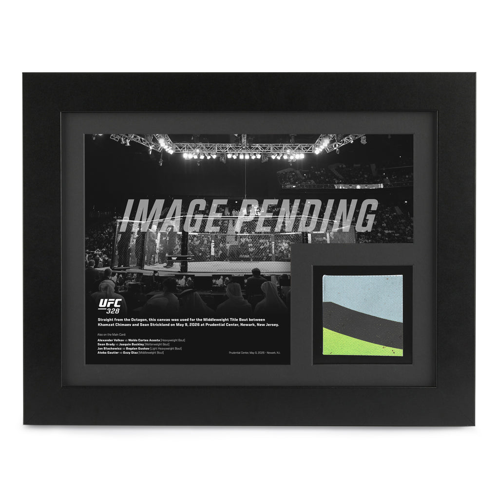 UFC 328: Chimaev vs Strickland Canvas & Photo