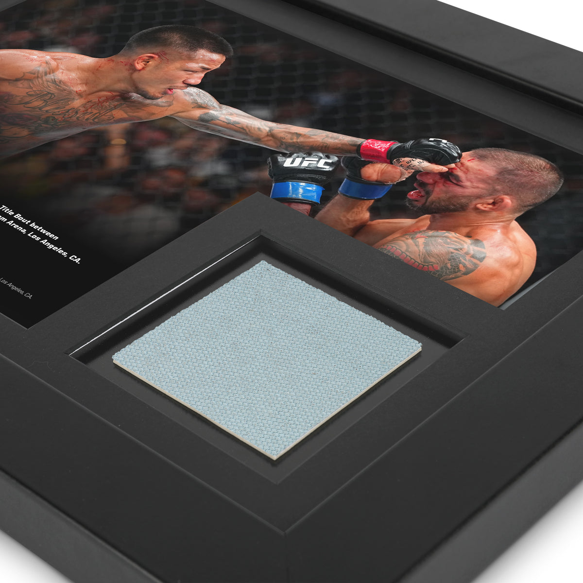 Crypto.com UFC 331: Van vs Pantoja 2 Canvas & Photo