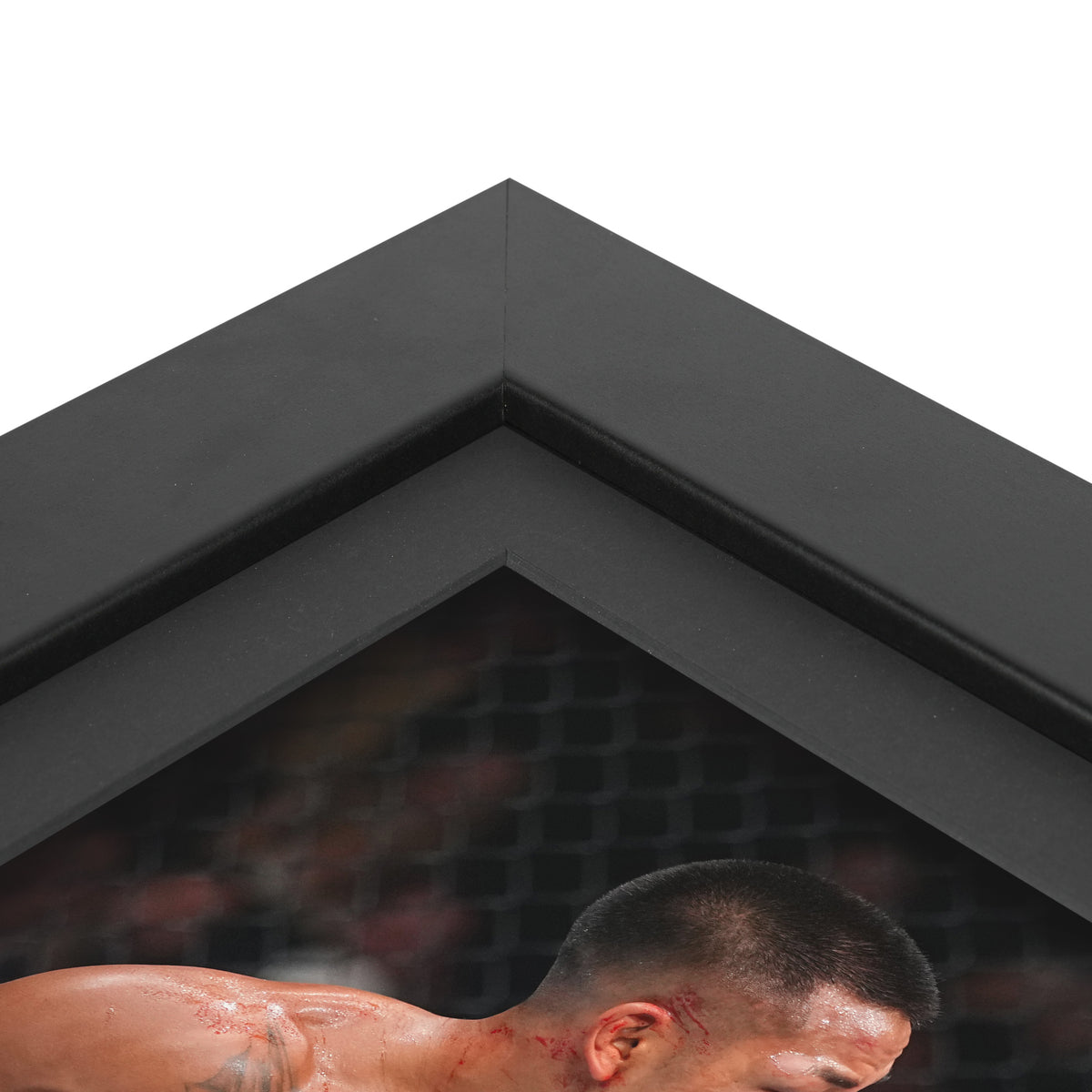 Crypto.com UFC 331: Van vs Pantoja 2 Canvas & Photo