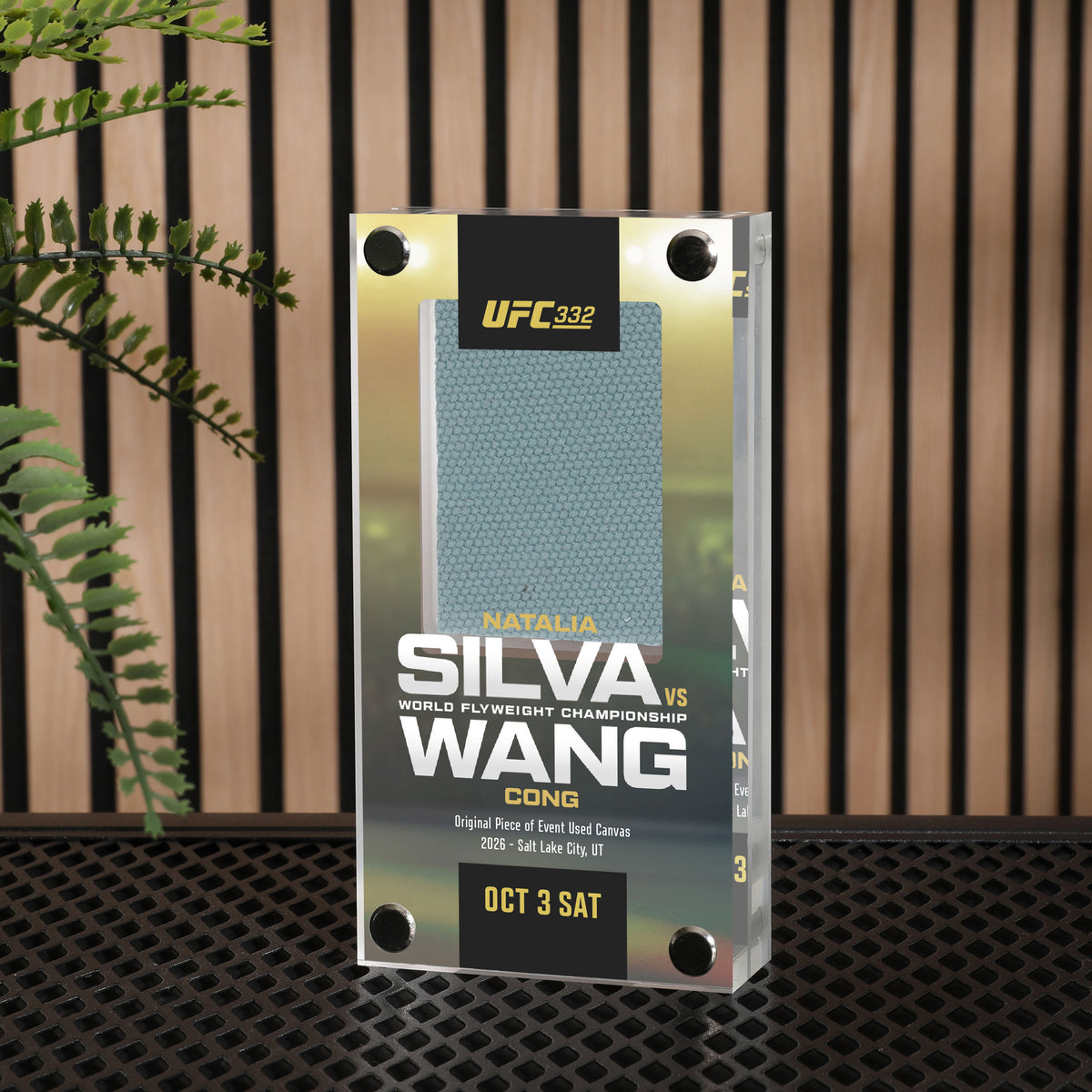 UFC 332: Silva vs Wang Canvas in Acrylic