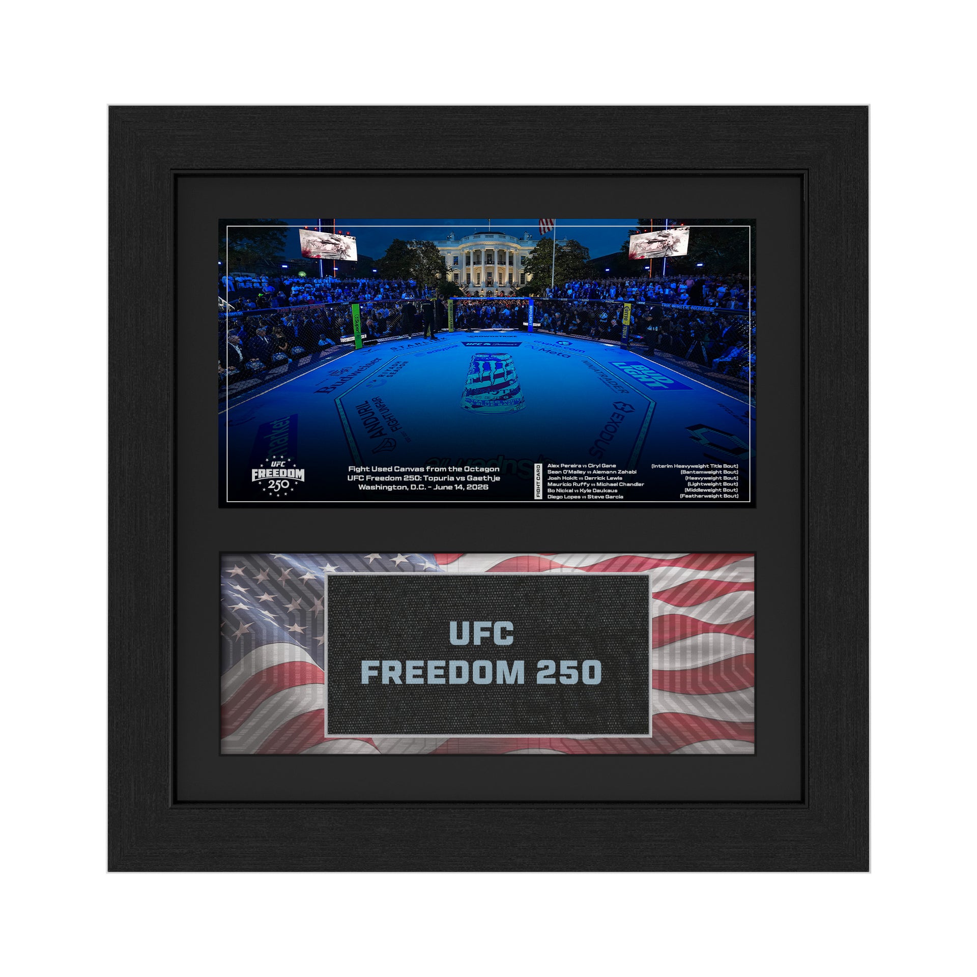 UFC Freedom 250: Topuria vs Gaethje Event Name on Canvas