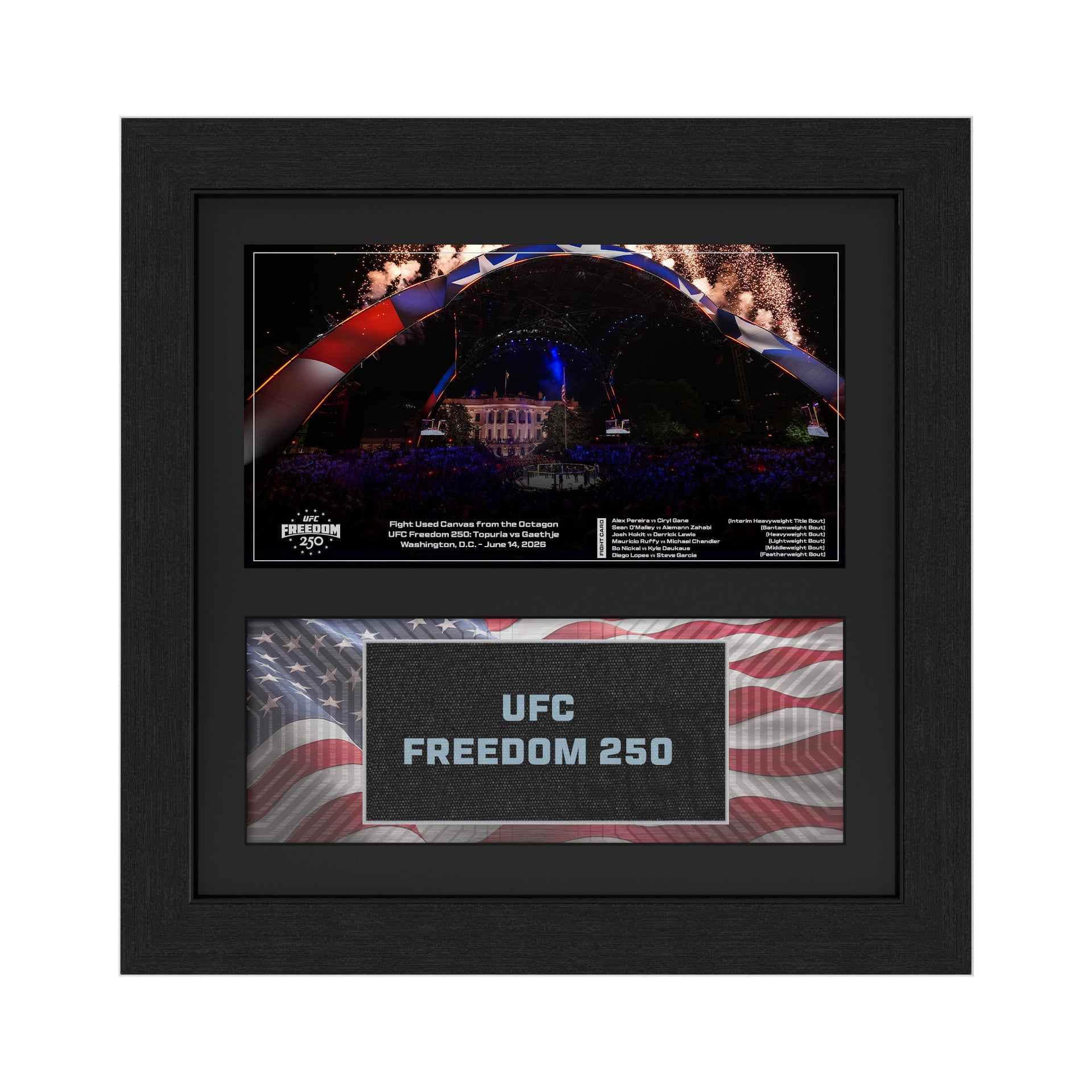 UFC Freedom 250: Topuria vs Gaethje Event Name on Canvas