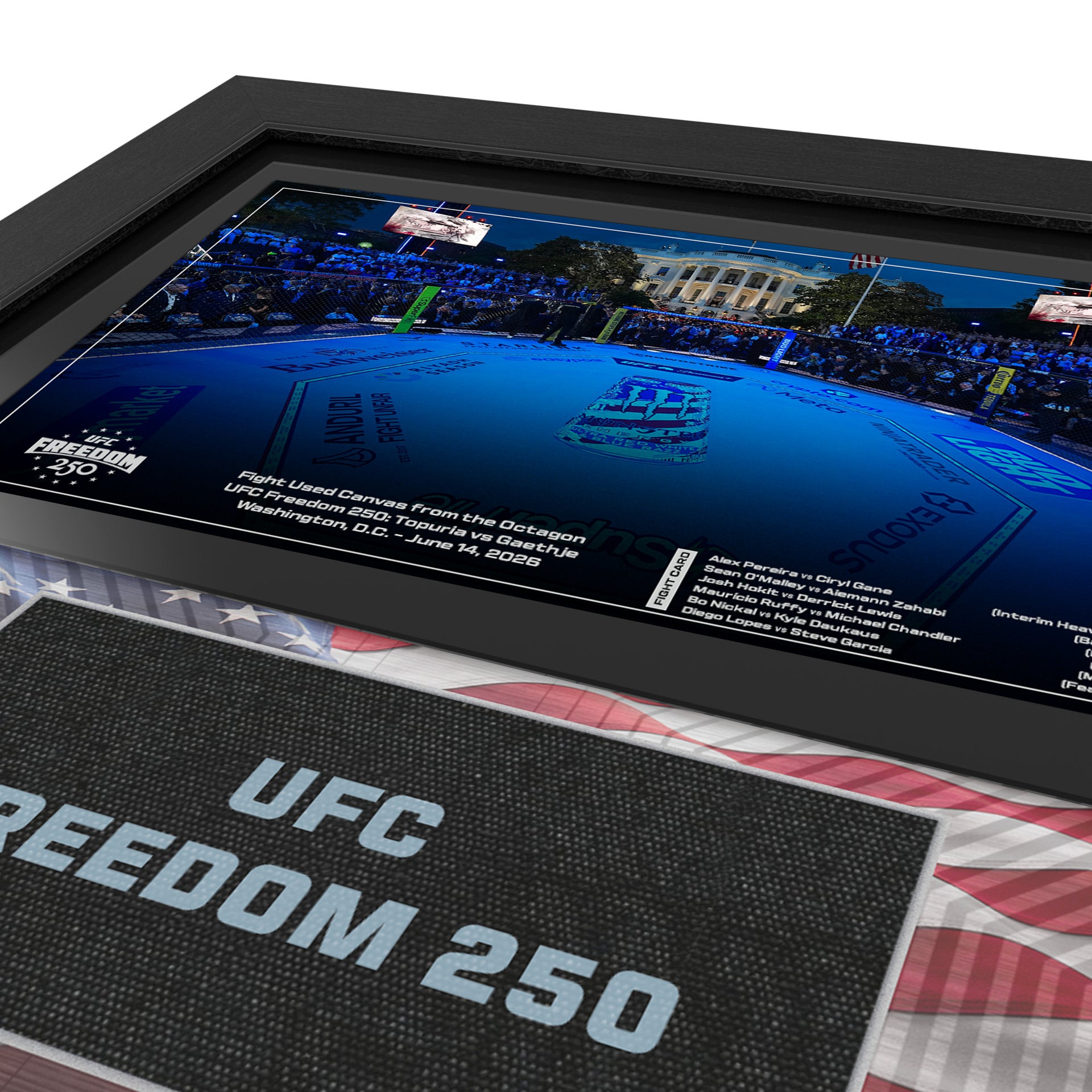 UFC Freedom 250: Topuria vs Gaethje Event Name on Canvas