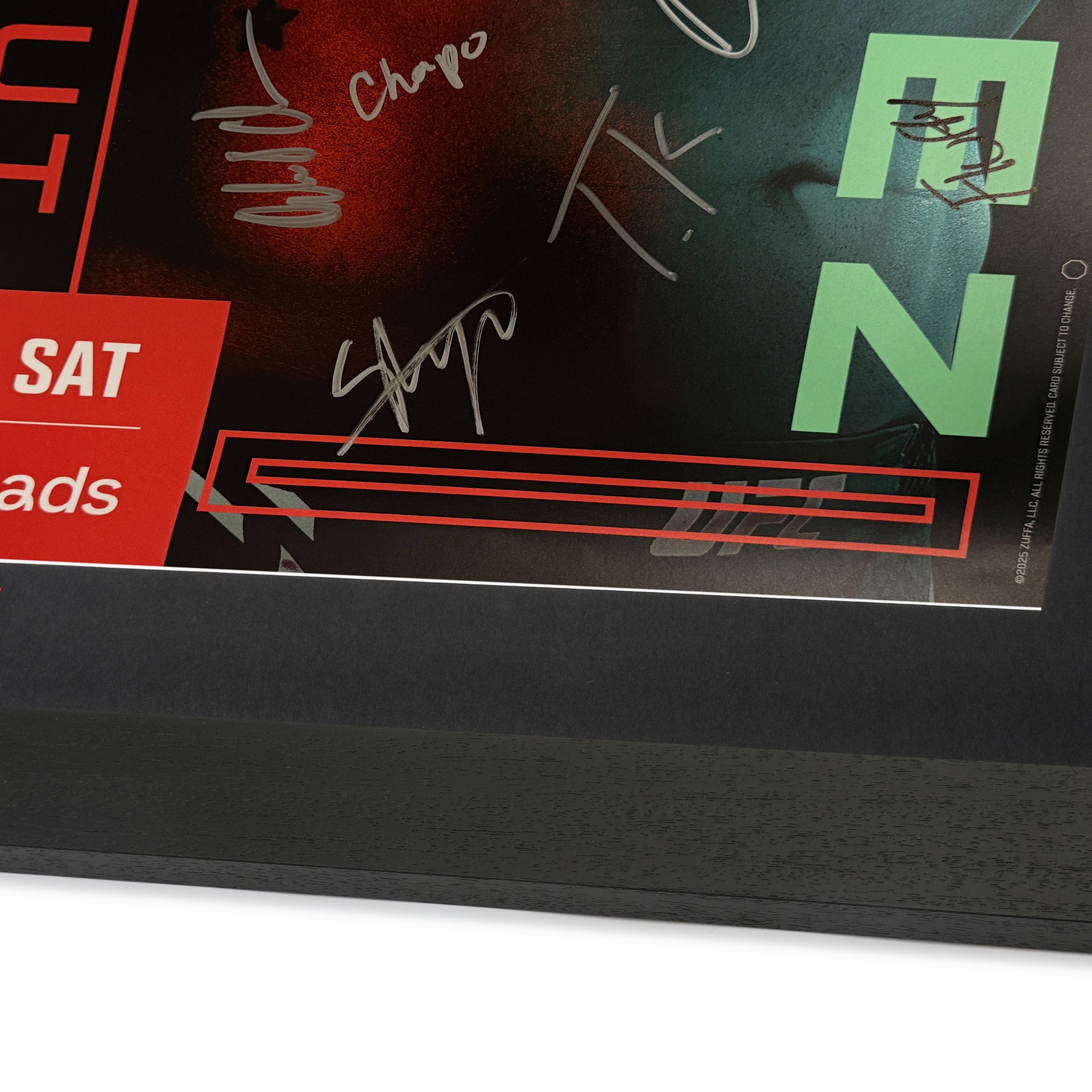 UFC Fight Night: Dolidze vs Hernandez Autographed Event Poster