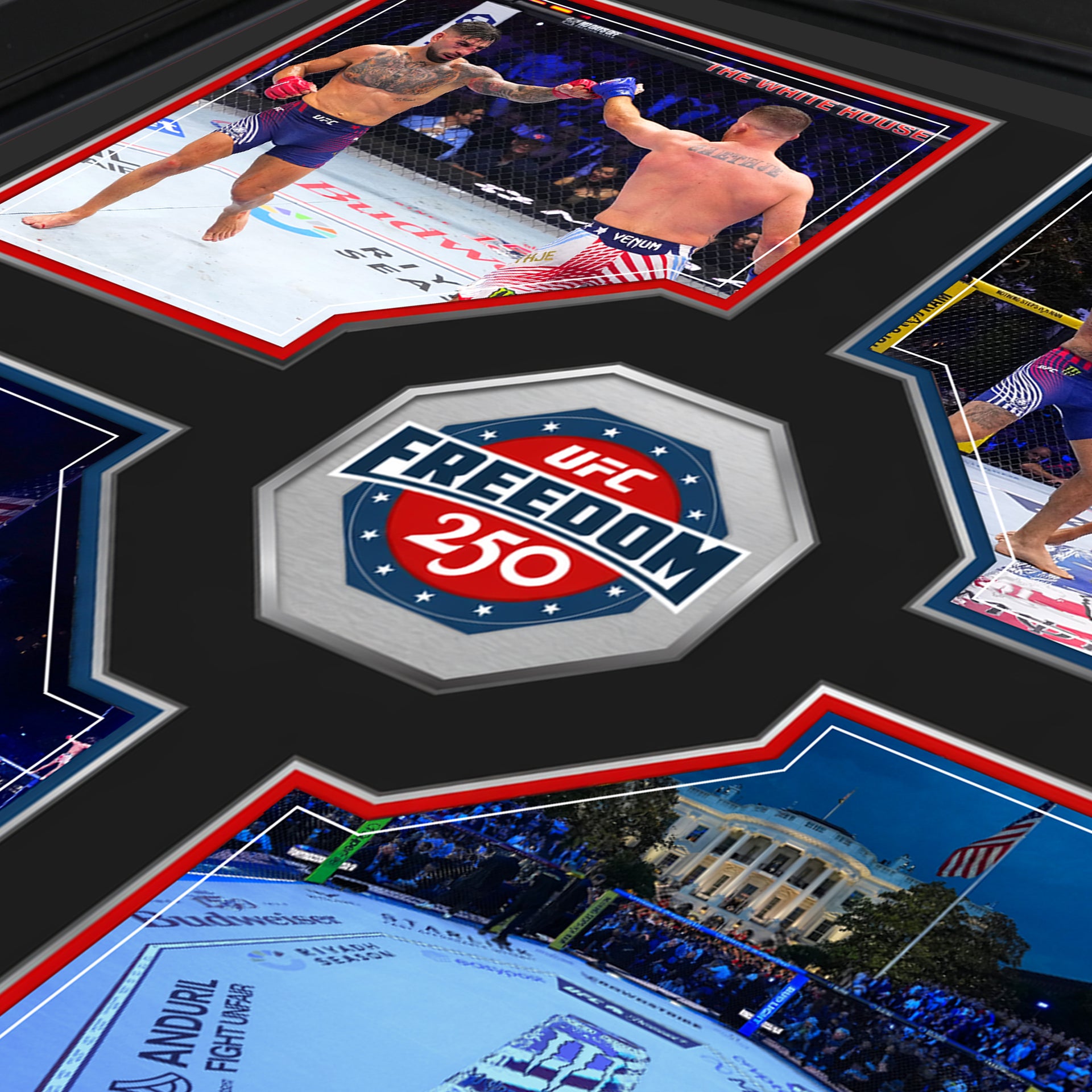 SOLD OUT: UFC Freedom 250: Topuria vs Gaethje Name on Canvas