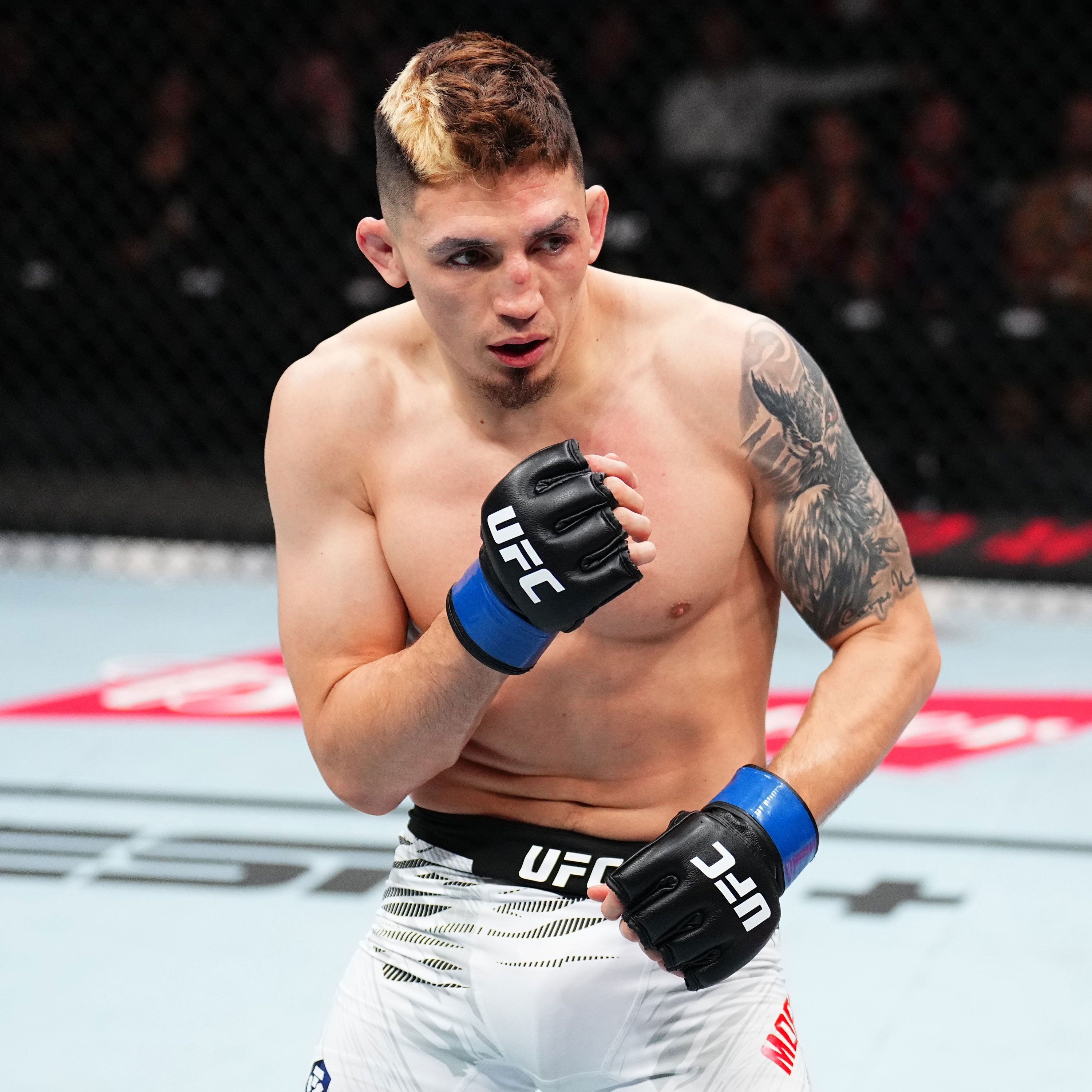 Vince Morales Signed 1-of-1 Fight Worn Gloves UFC Fight Night: Moreno vs Erceg