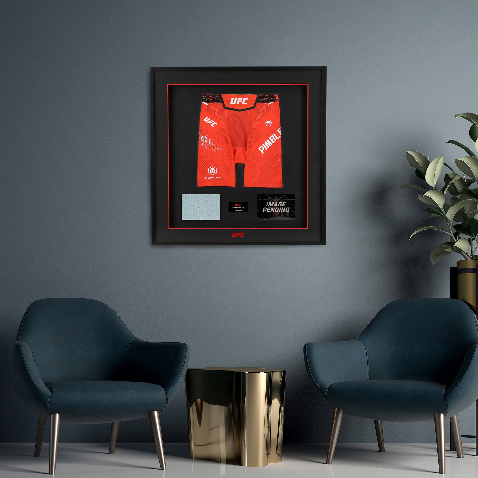Paddy Pimblett Limited Edition UFC 329 Venum Shorts & Canvas Display