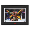 Official Aljamain Sterling signed photo