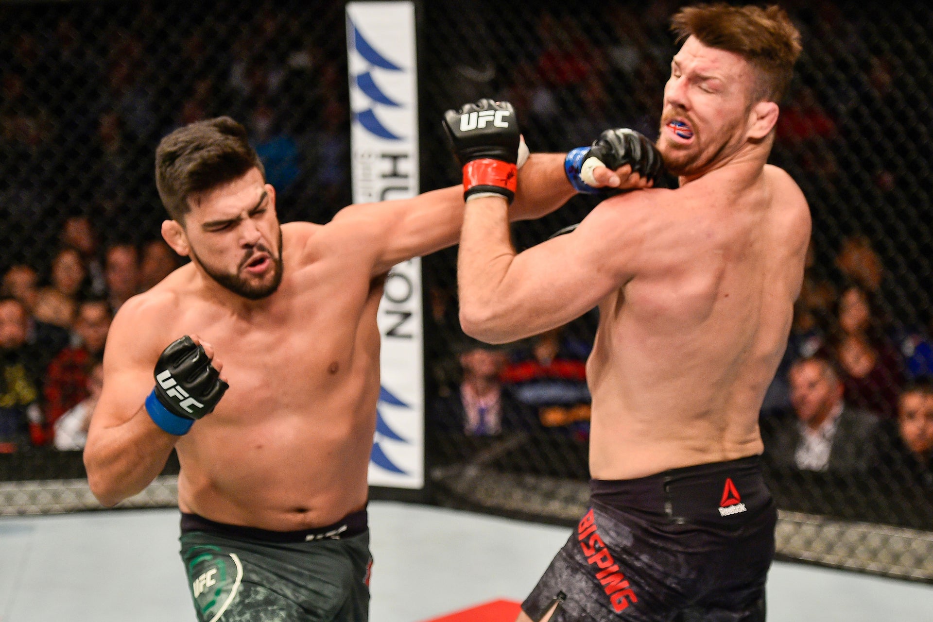 Kelvin Gastelum Signed Photo UFC Fight Night: Bisping vs Gastelum