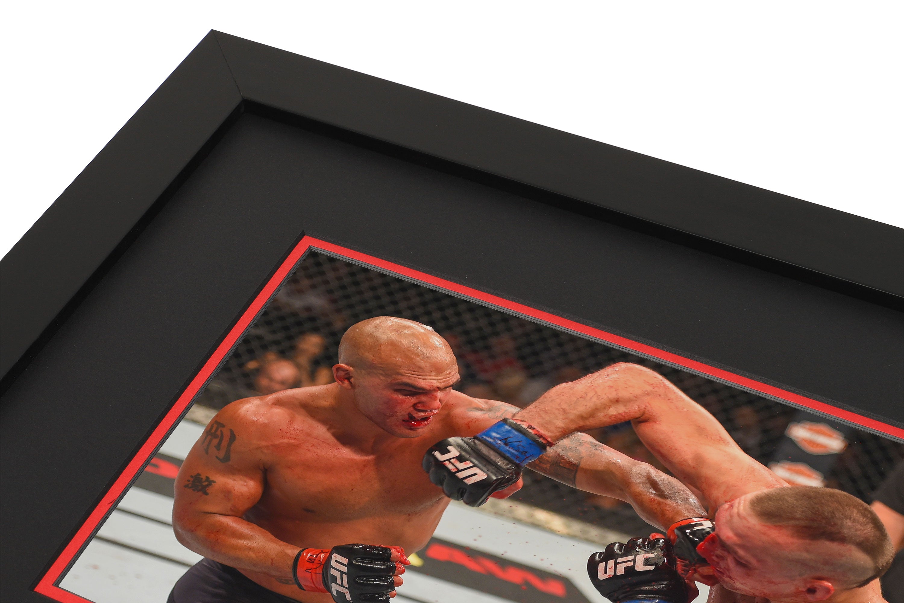 UFC 189: Mendes vs McGregor Canvas & Photo - Robbie Lawler