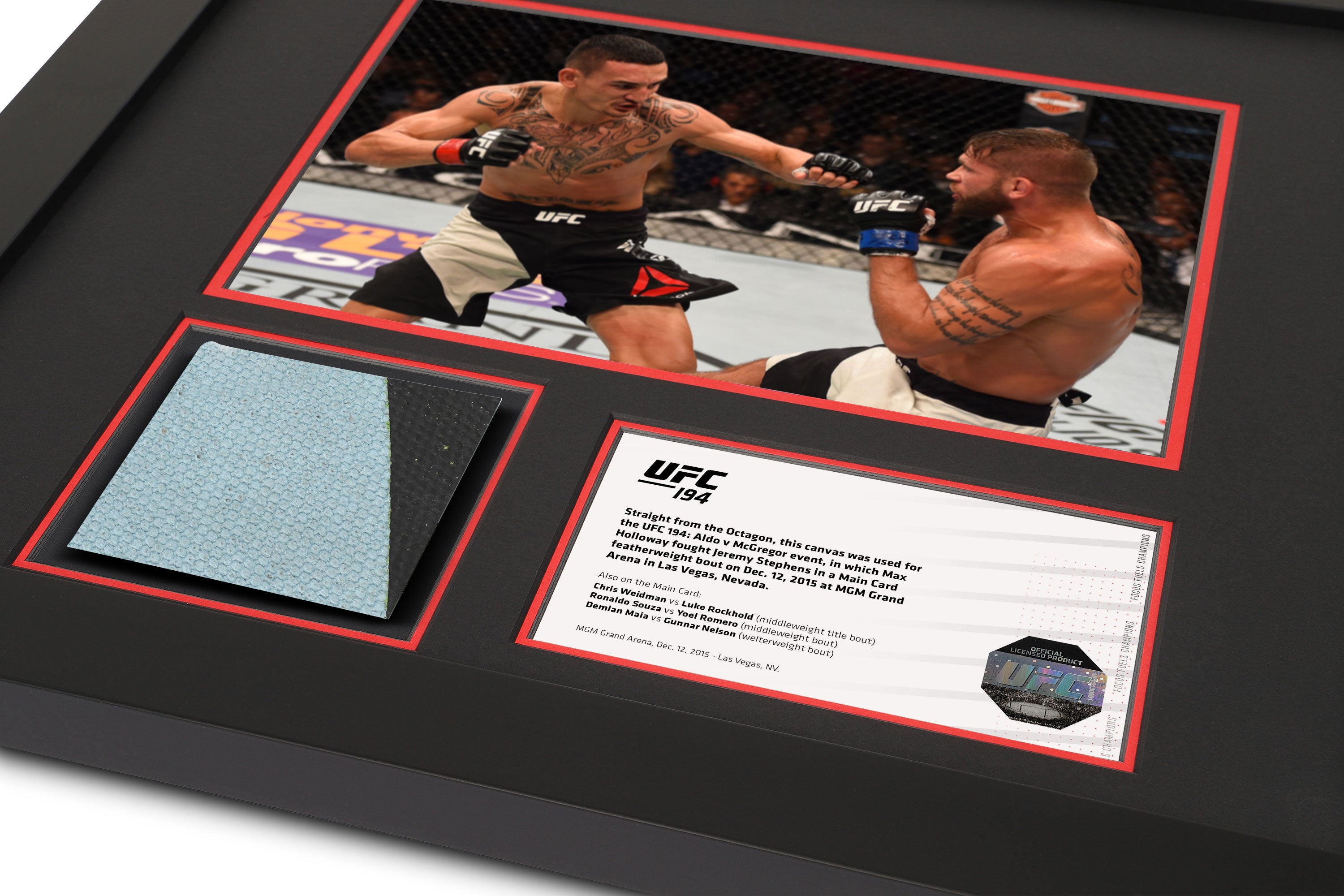 UFC 194: Aldo vs McGregor Canvas & Photo - Holloway vs. Stephens