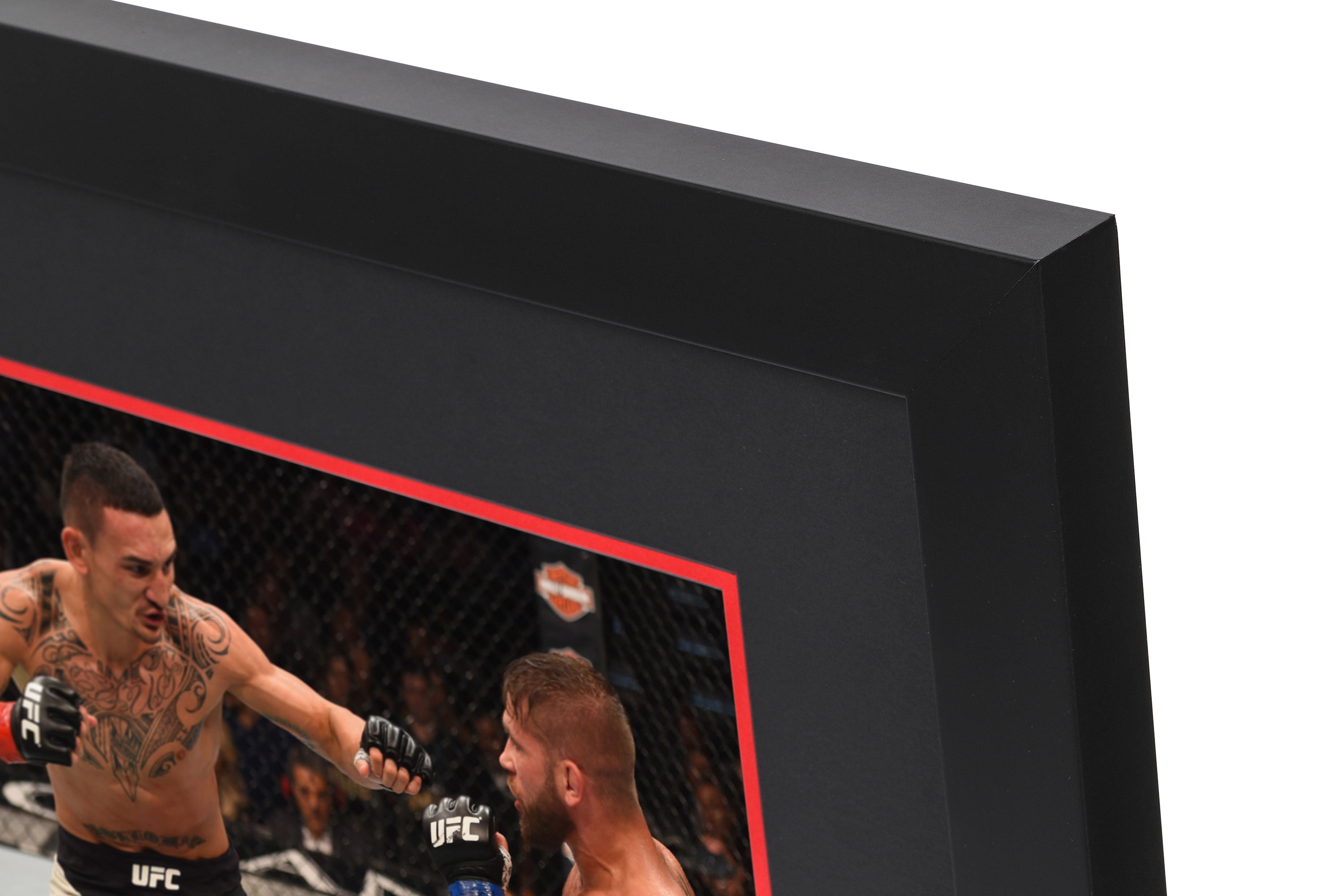 UFC 194: Aldo vs McGregor Canvas & Photo - Holloway vs. Stephens