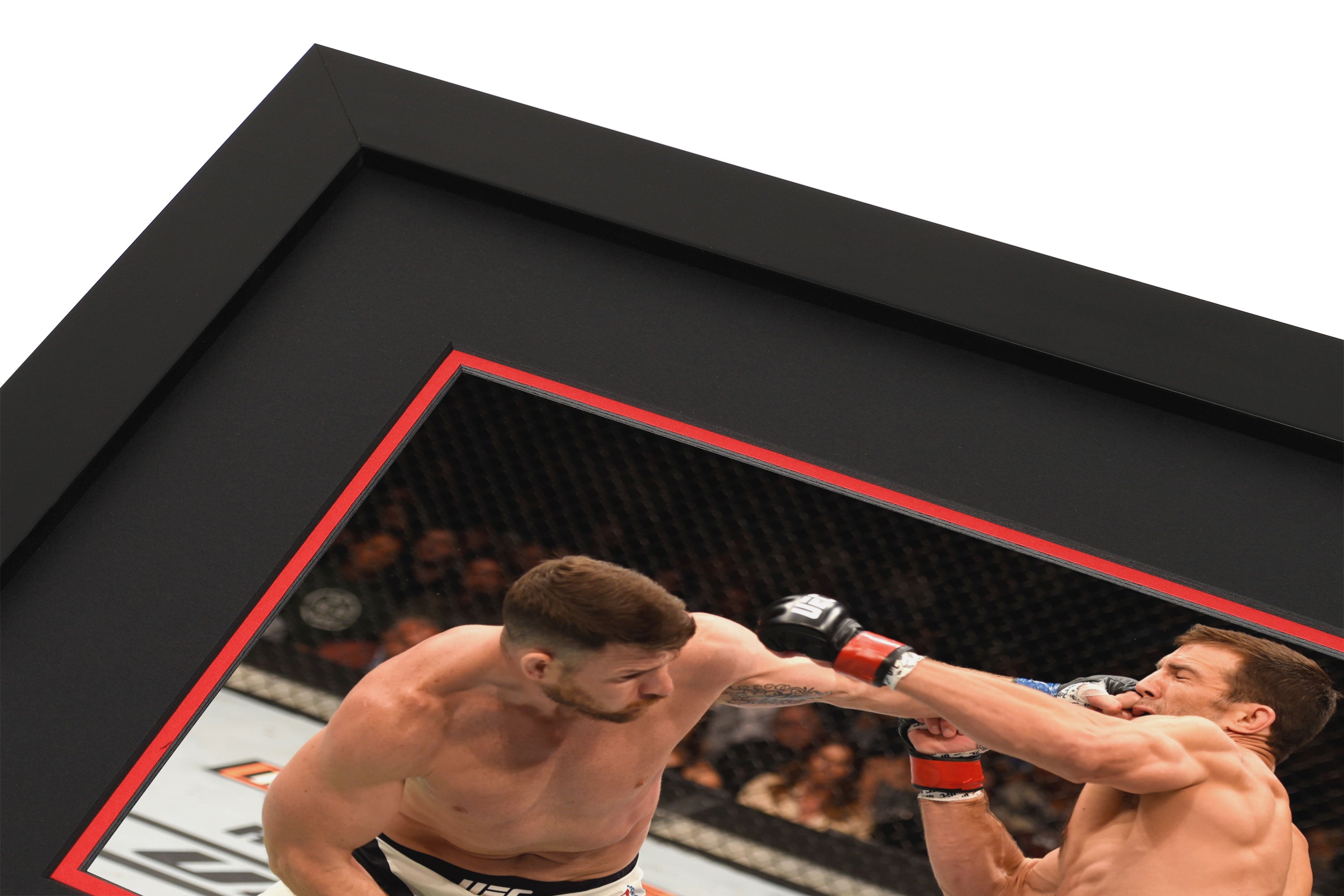 UFC 199: Rockhold vs Bisping 2 Canvas & Photo - Rockhold vs Bisping