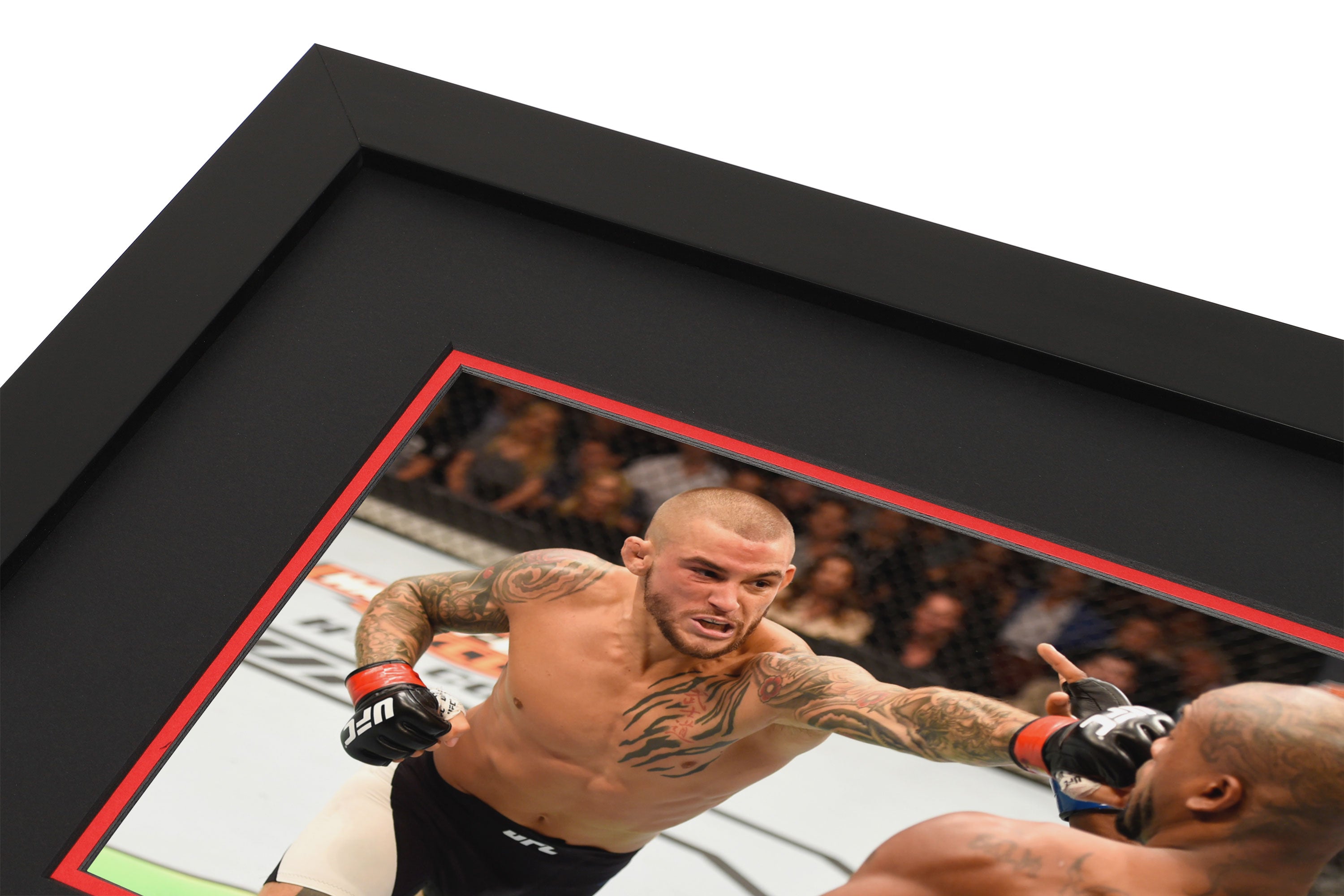 UFC 199: Rockhold vs Bisping 2 Canvas & Photo - Poirier vs Green
