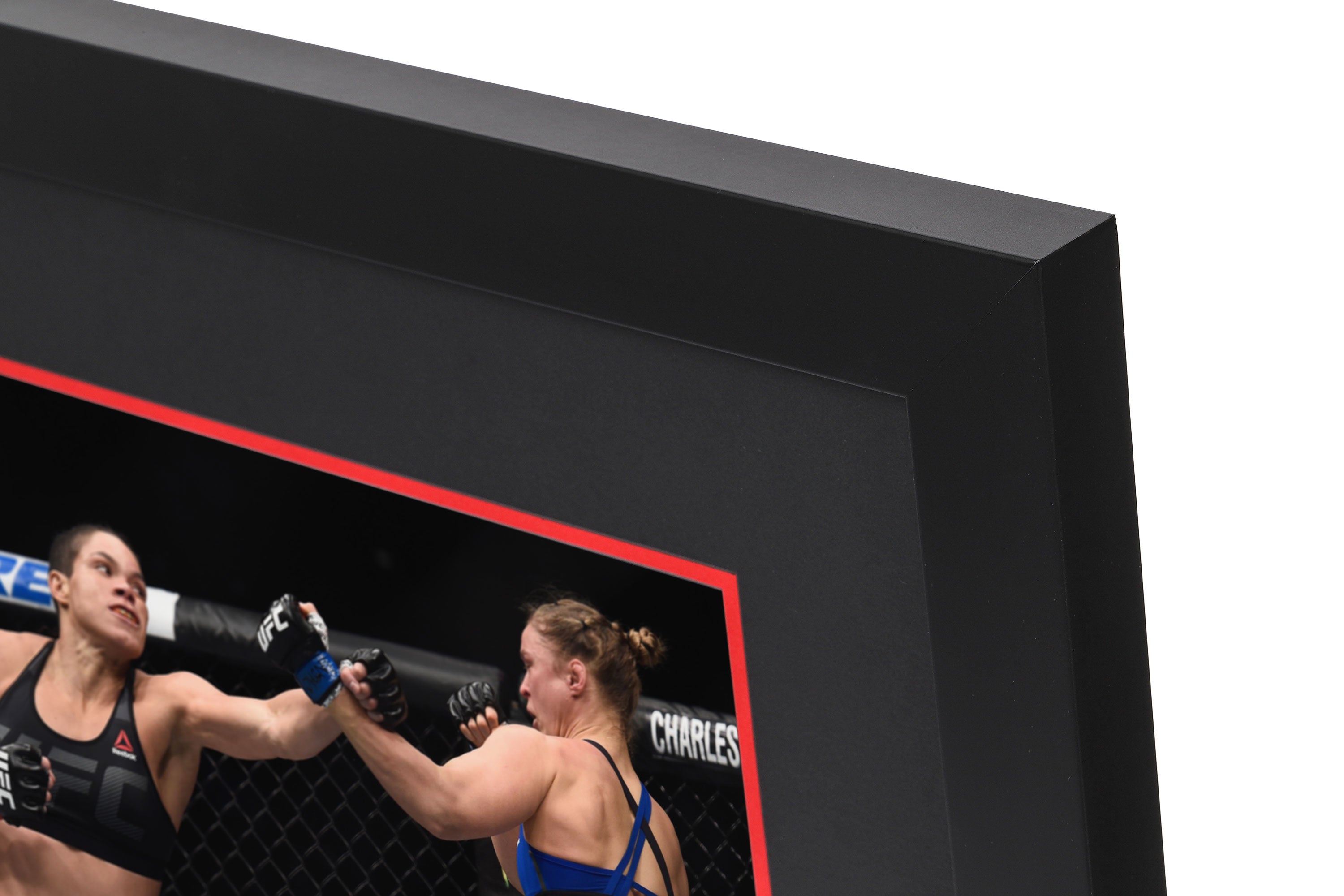 UFC 207: Nunes vs Rousey Canvas & Photo