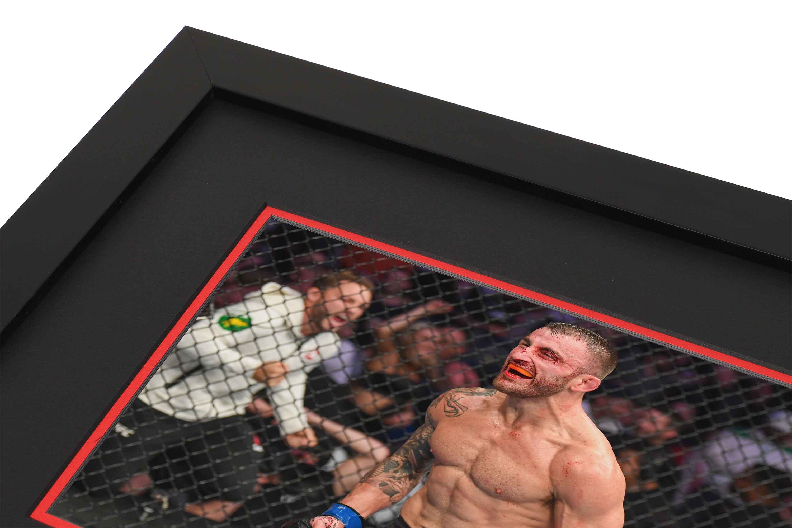 UFC 232: Jones vs Gustafsson 2 Canvas & Photo -  Alexander Volkanovski