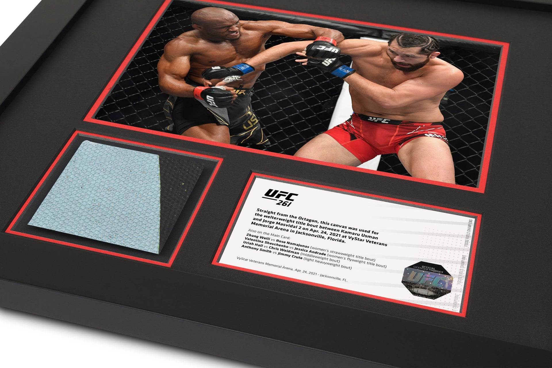 UFC 261: Usman vs Masvidal 2 Canvas & Photo