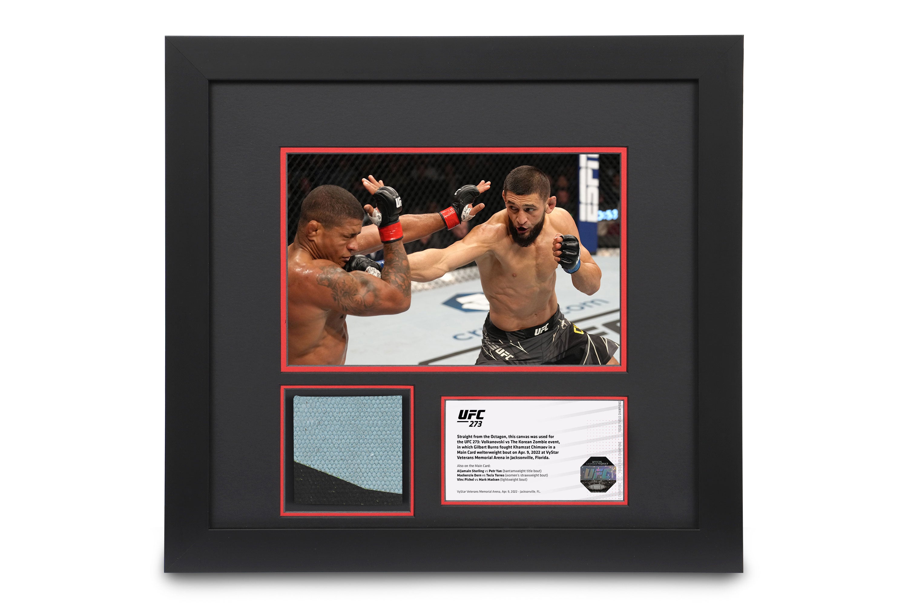 Canvas & Photo from the Khamzat vs Burns UFC 273 event 