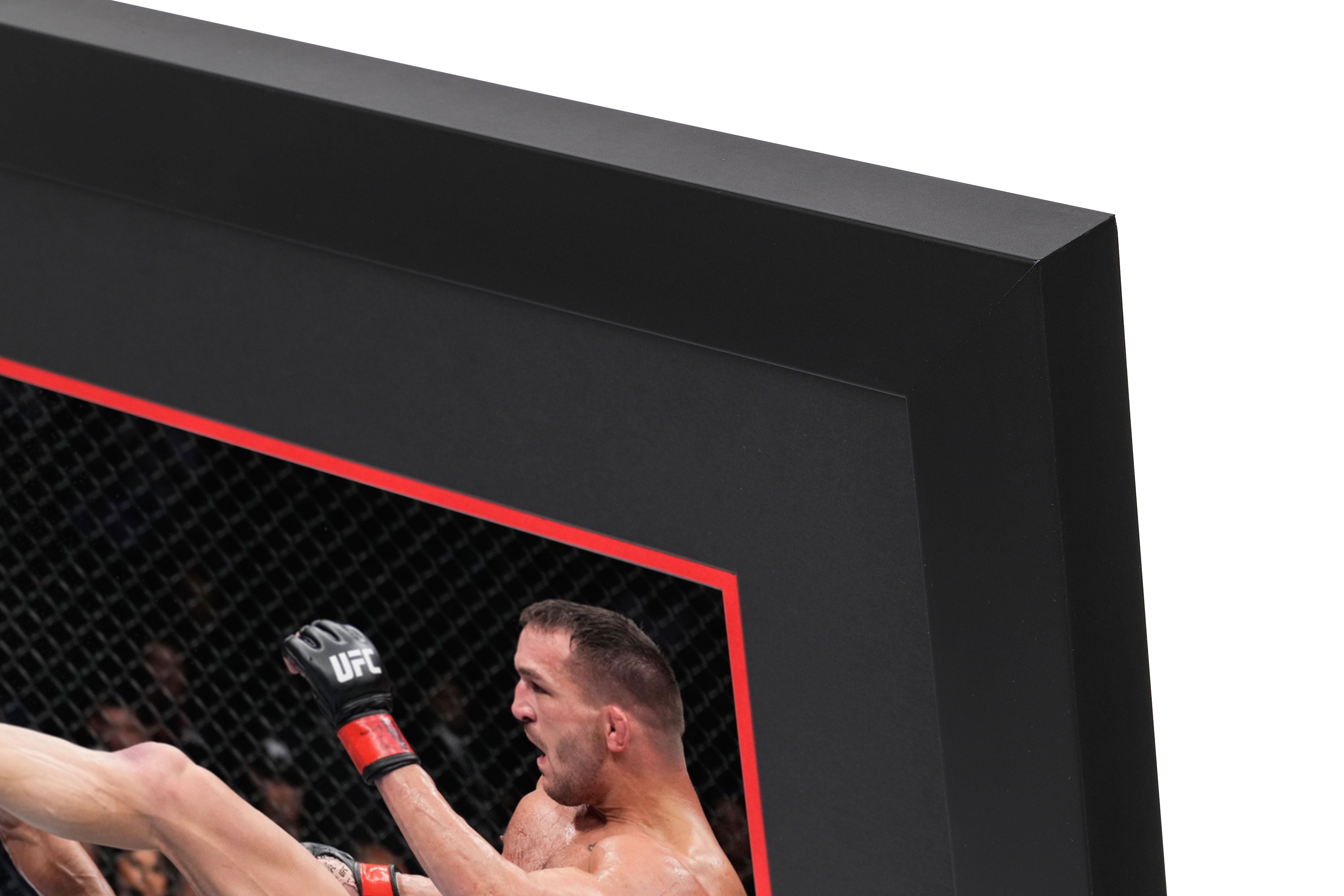 Photo & canvas from UFC 274 event
