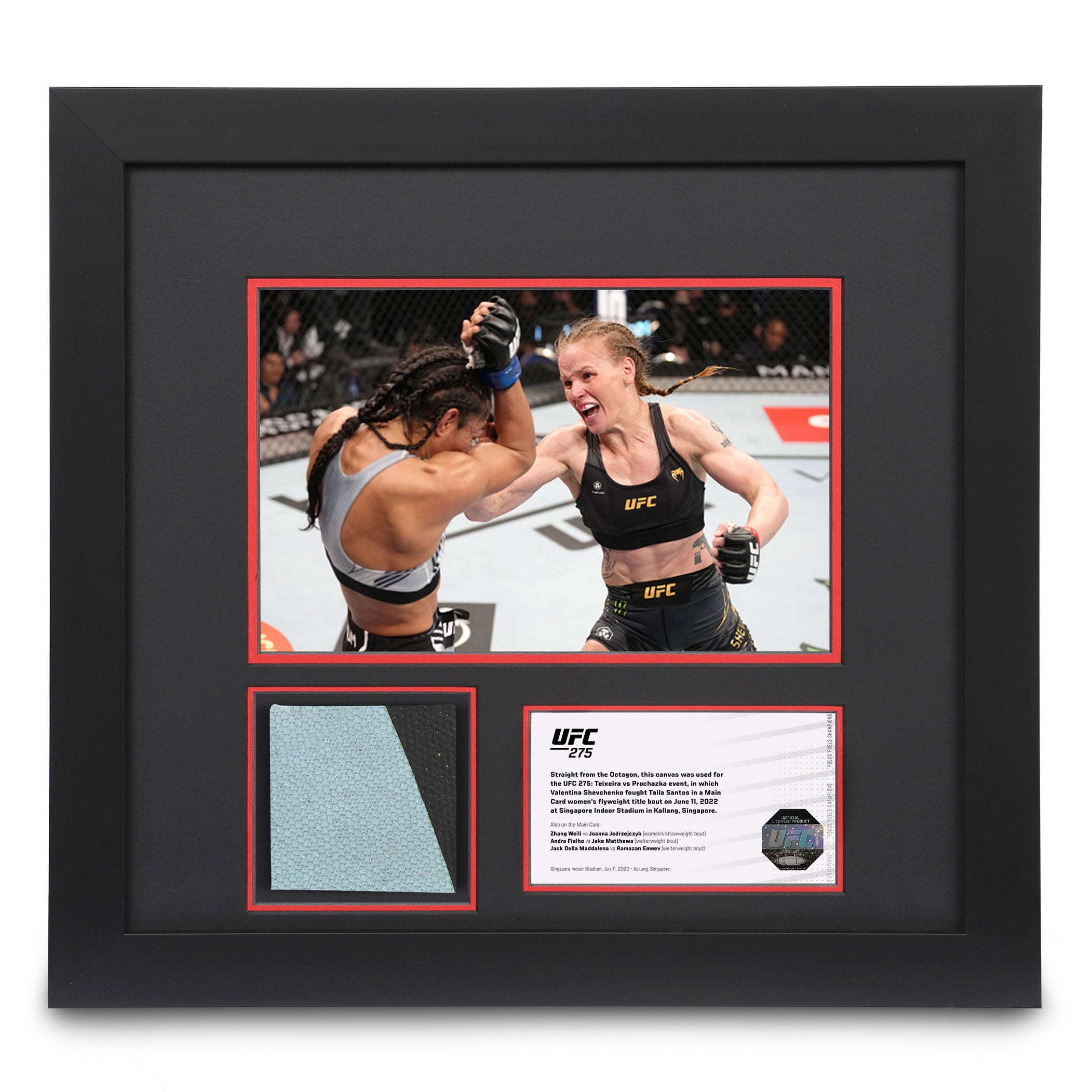 UFC 275: Shevchenko vs Santos Canvas and Photo