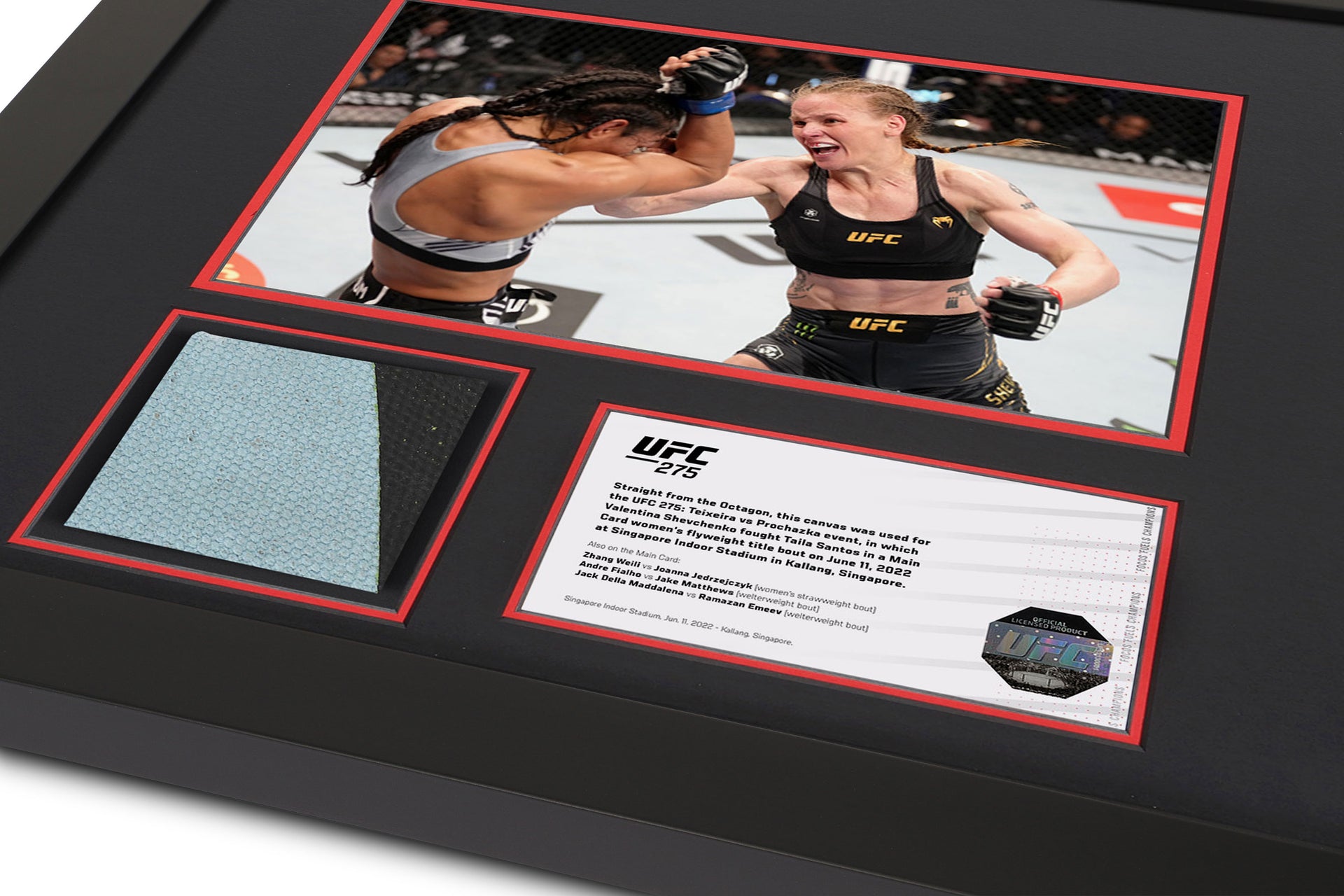 UFC 275: Shevchenko vs Santos Canvas and Photo