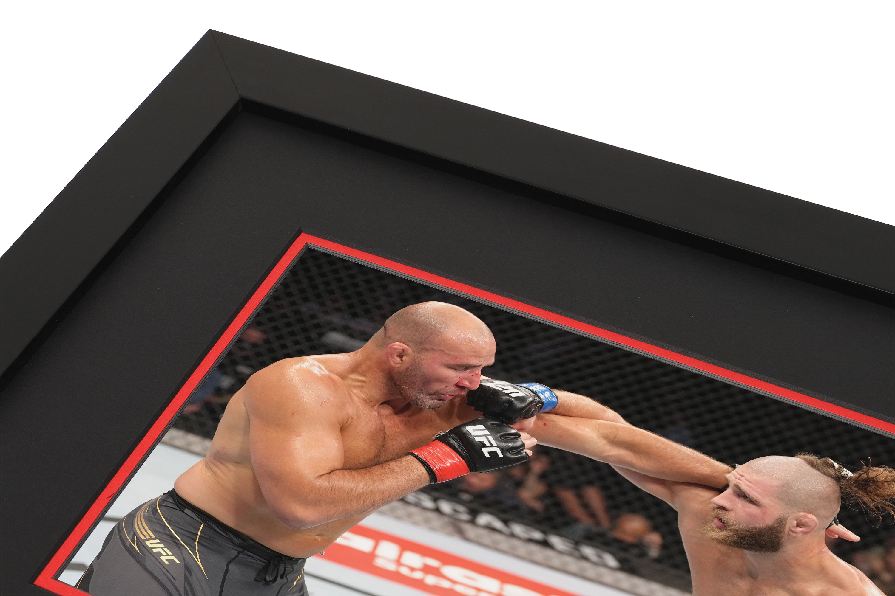 UFC 275: Teixeira vs Prochazka Canvas & Photo