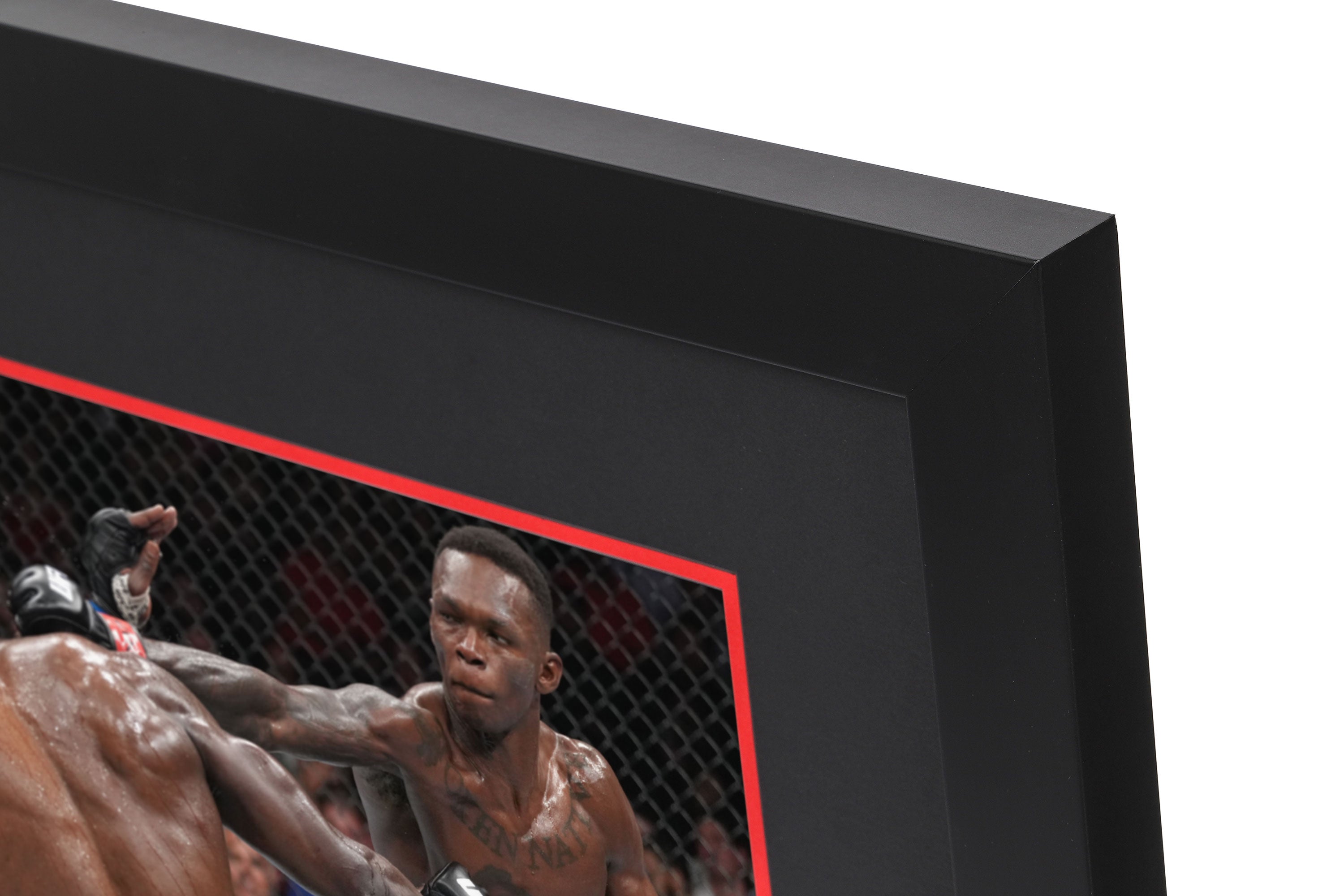 canvas & photo from UFC 276 event