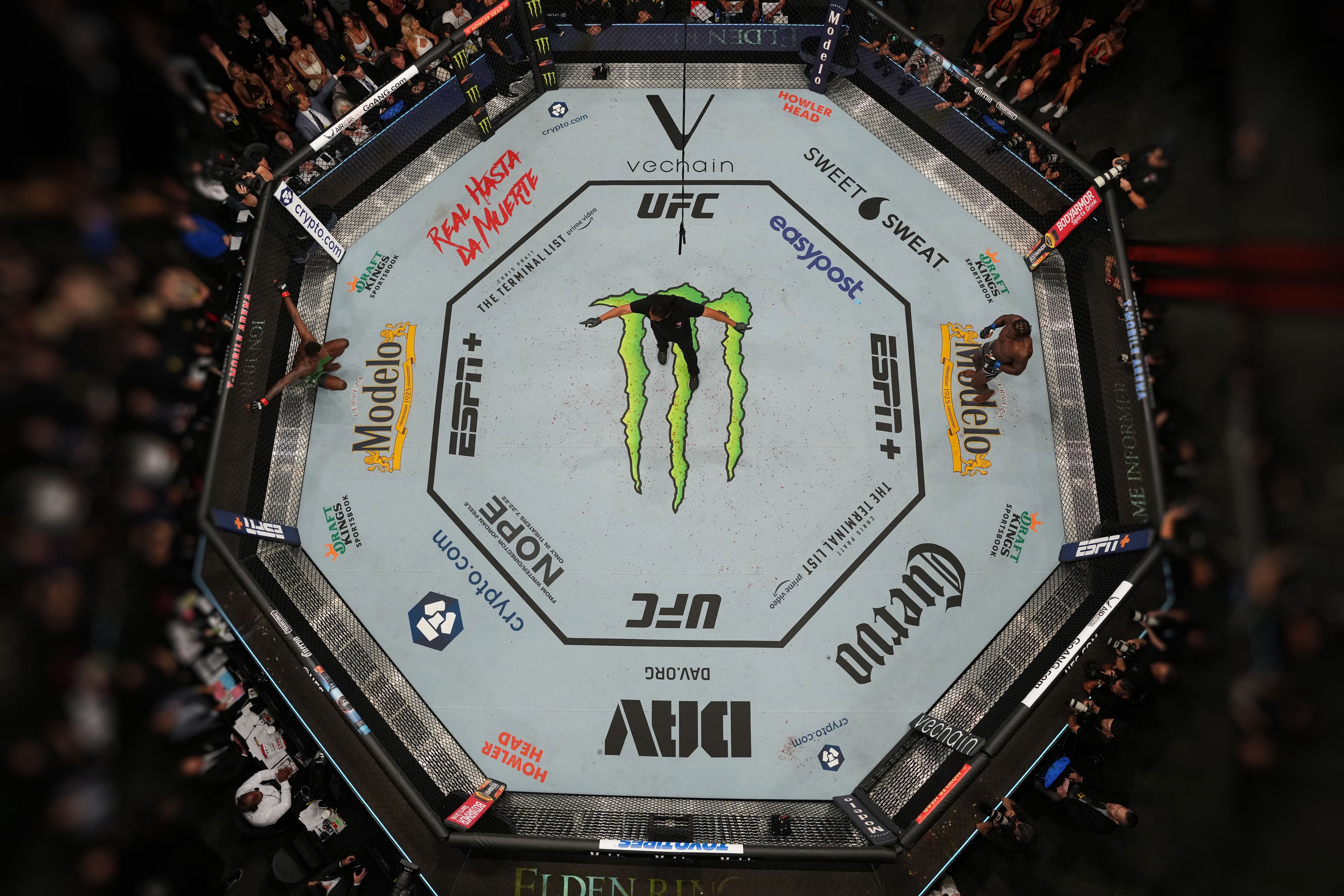 UFC 276: Adesanya vs Cannonier Event Used Canvas Keyring