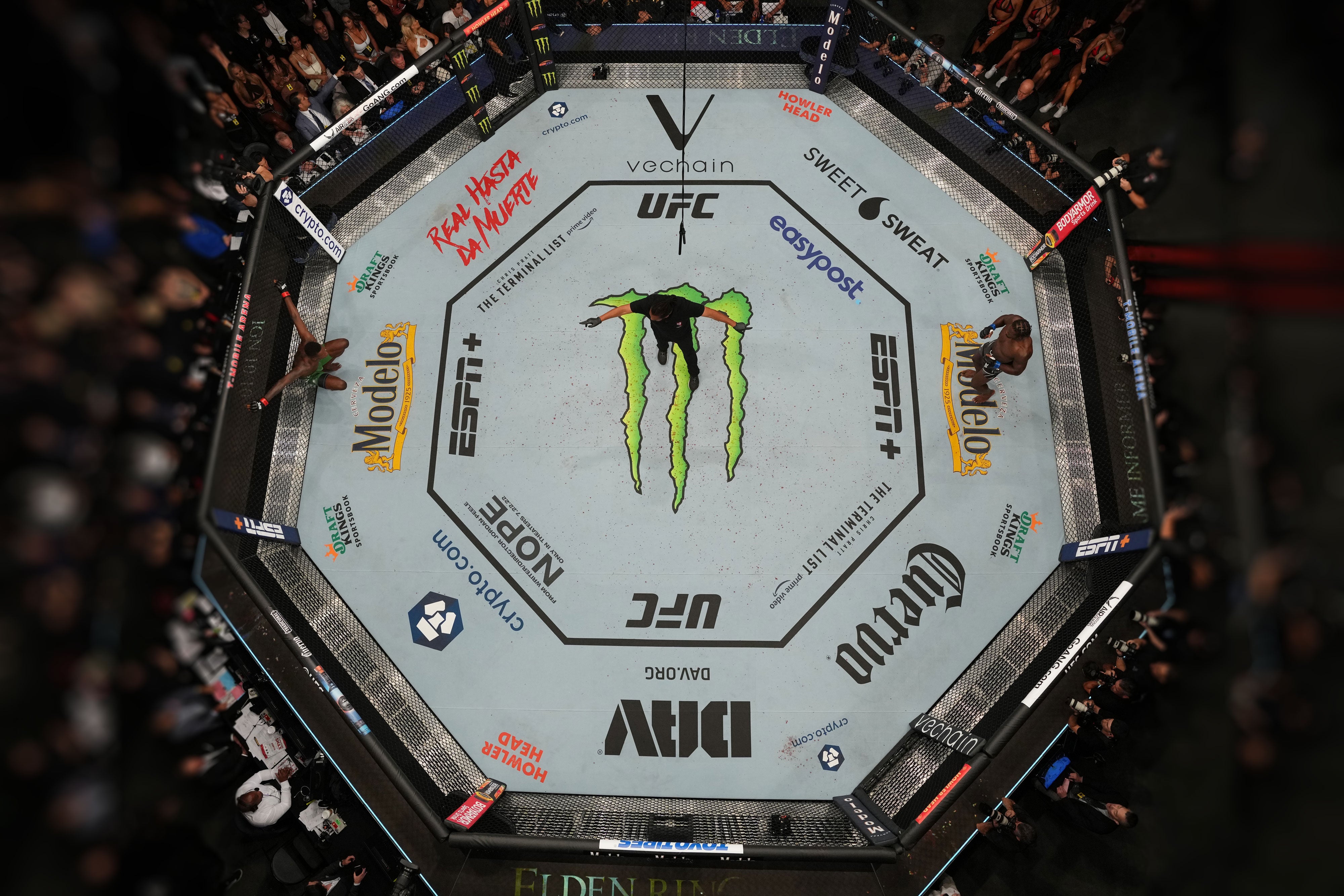 UFC 276: Adesanya vs Cannonier Canvas Card Holder