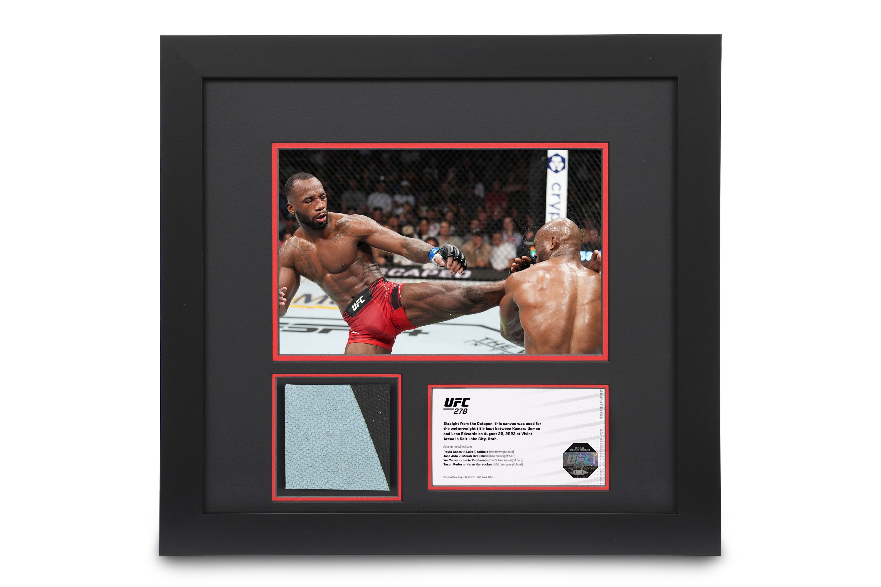 UFC 278: Usman vs Edwards 2 Canvas & Photo