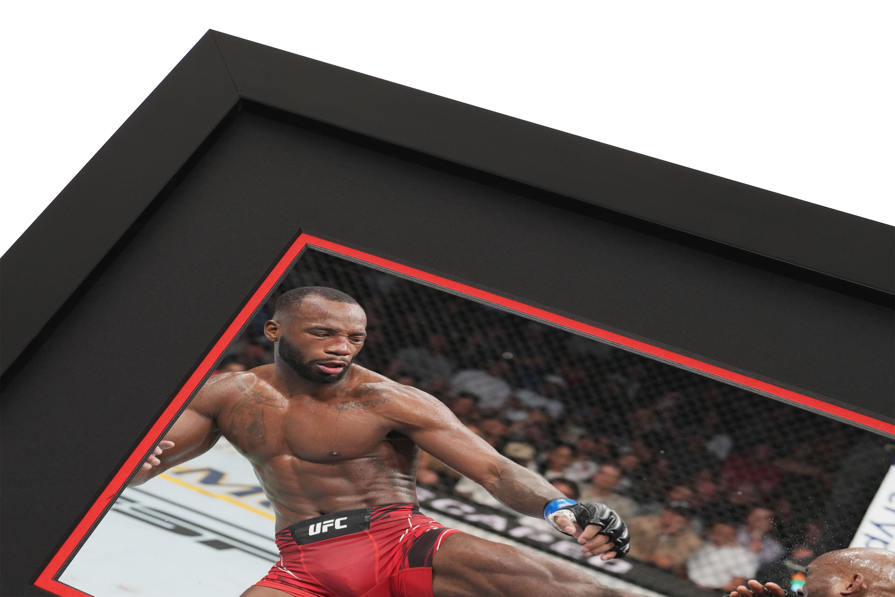 UFC 278: Usman vs Edwards 2 Canvas & Photo