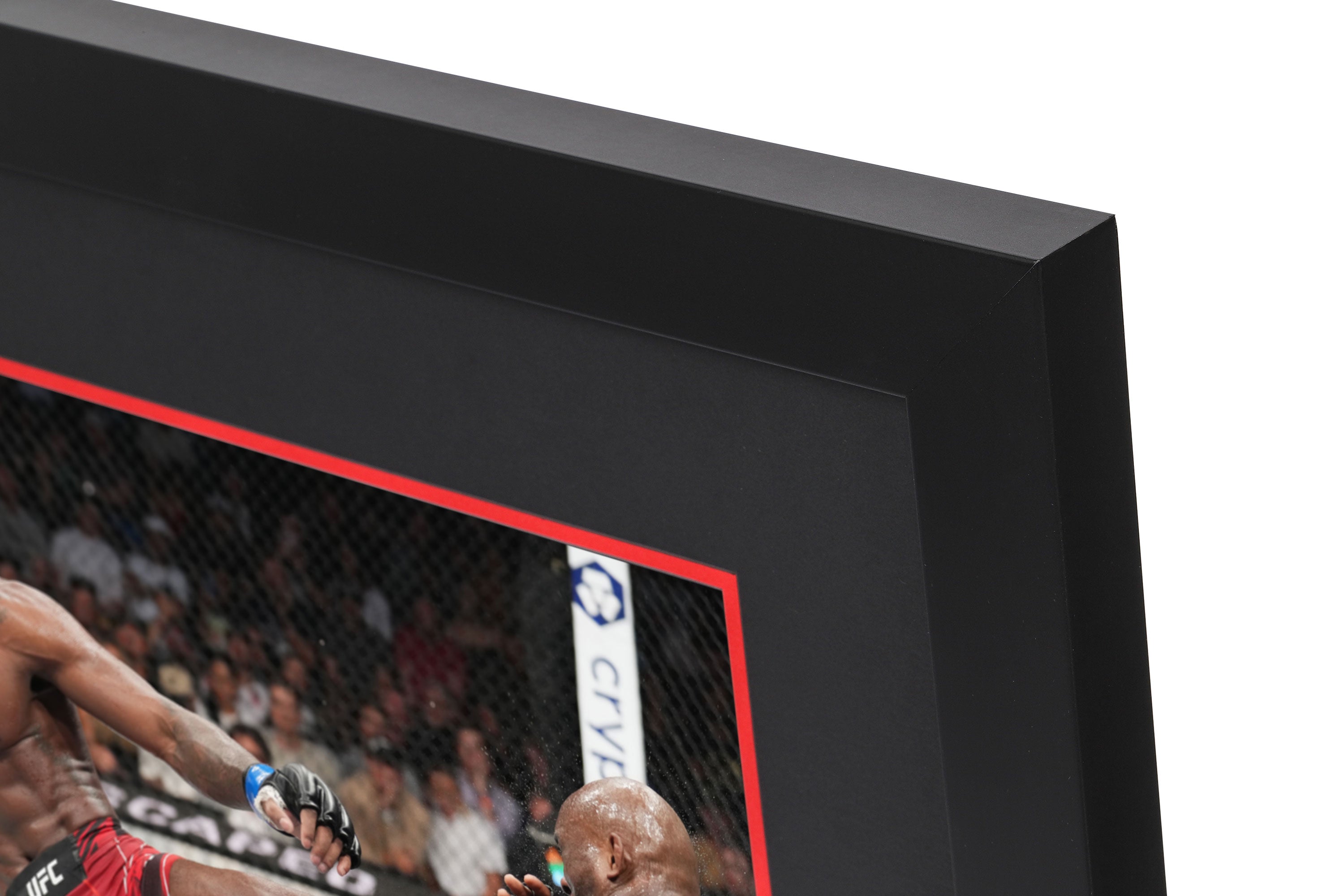 UFC 278: Usman vs Edwards 2 Canvas & Photo