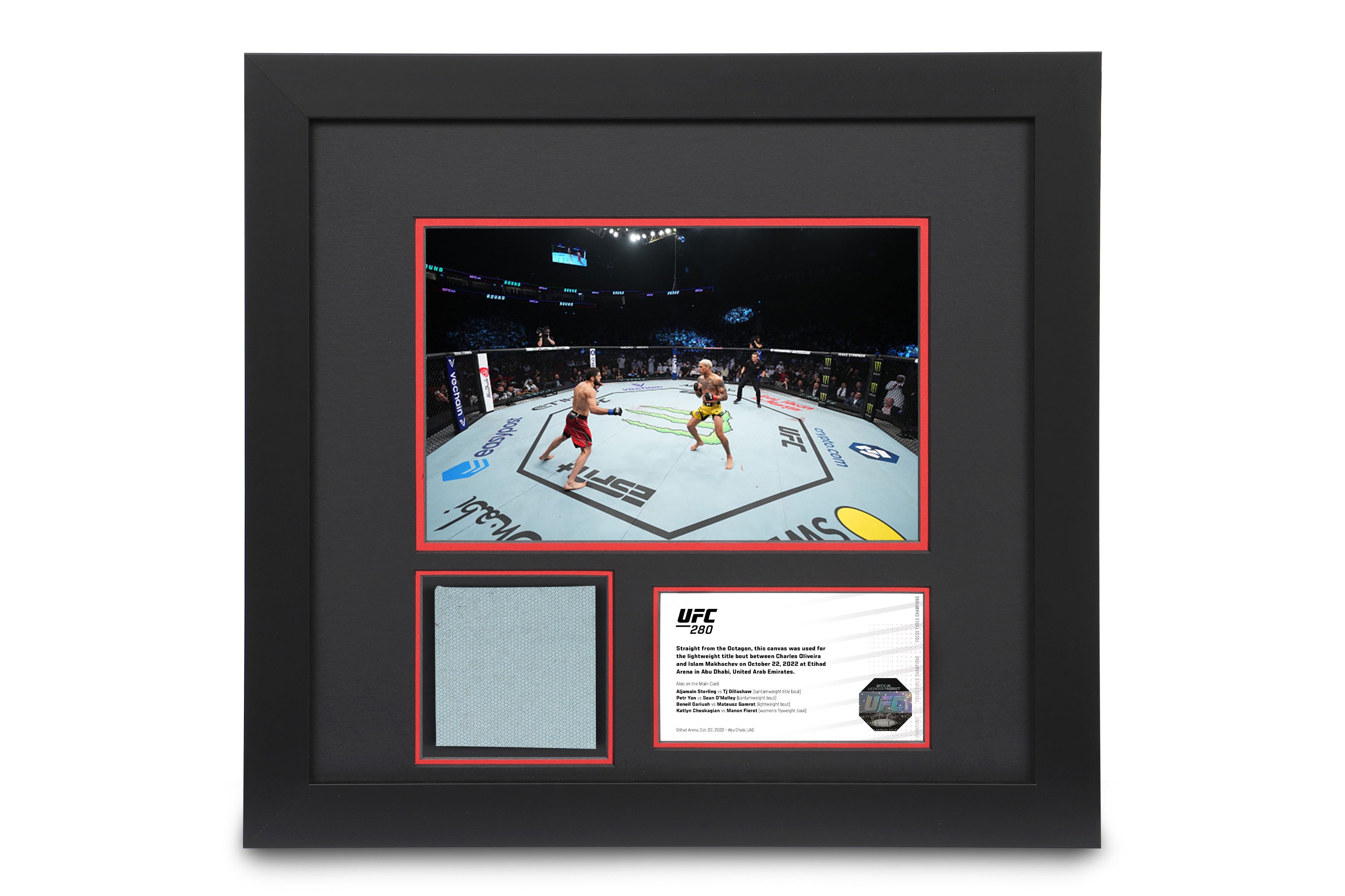 Framed UFC Collectible! 1 of sale 1!