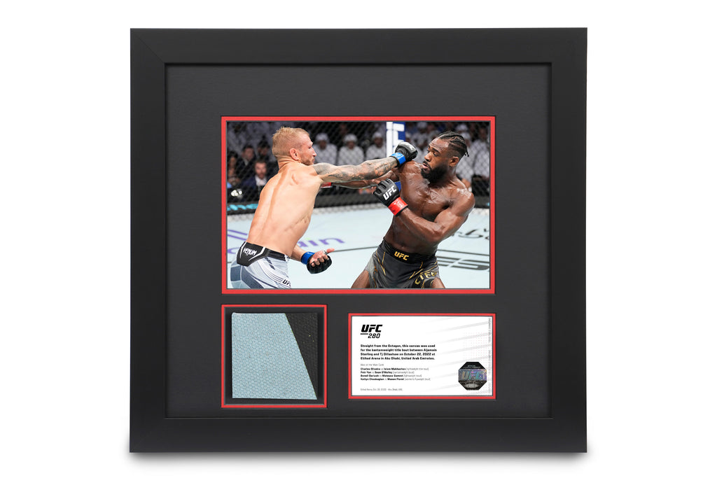 UFC 280: Sterling vs Dillashaw Canvas & Photo