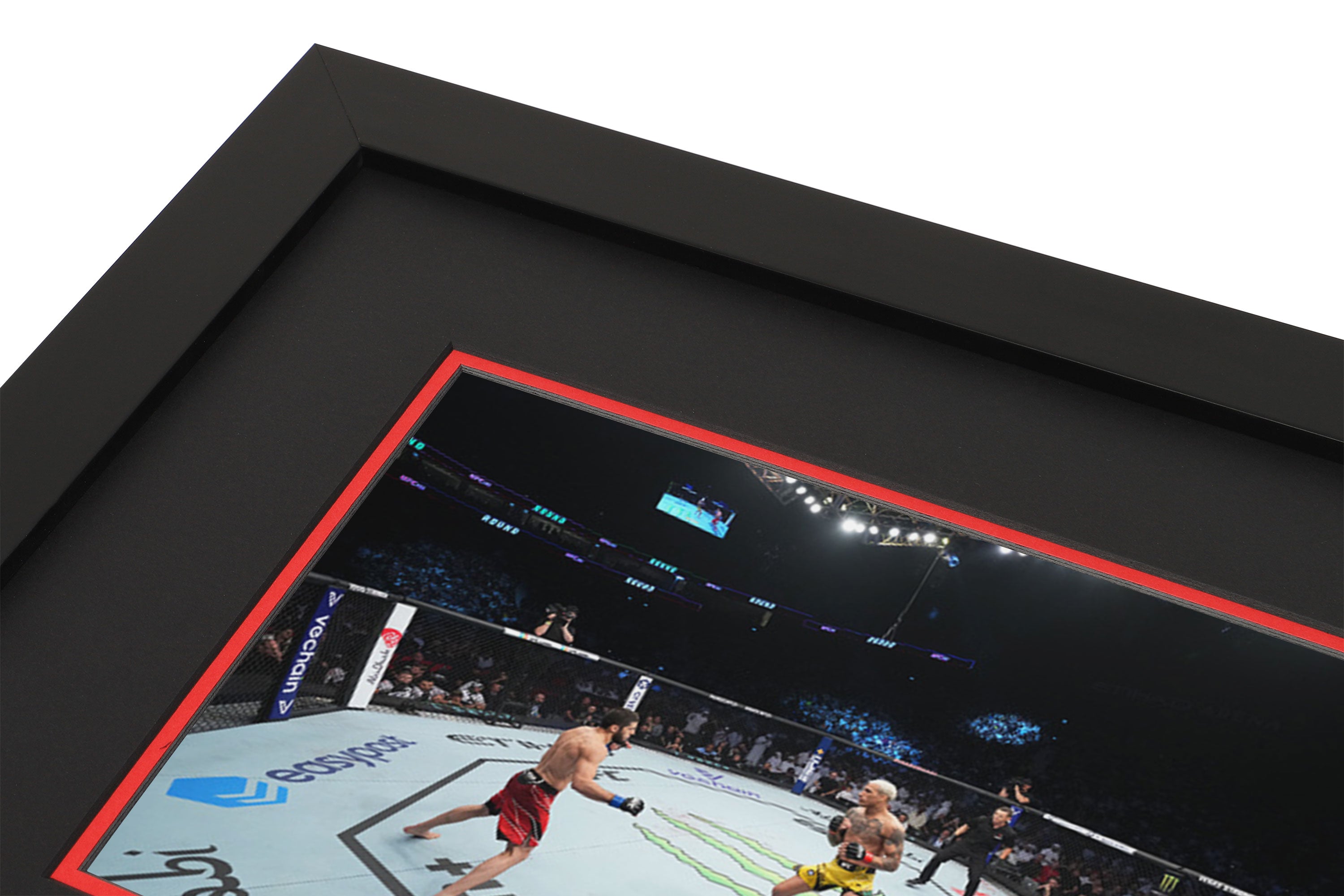 Authentic Canvas & Photo from UFC 280