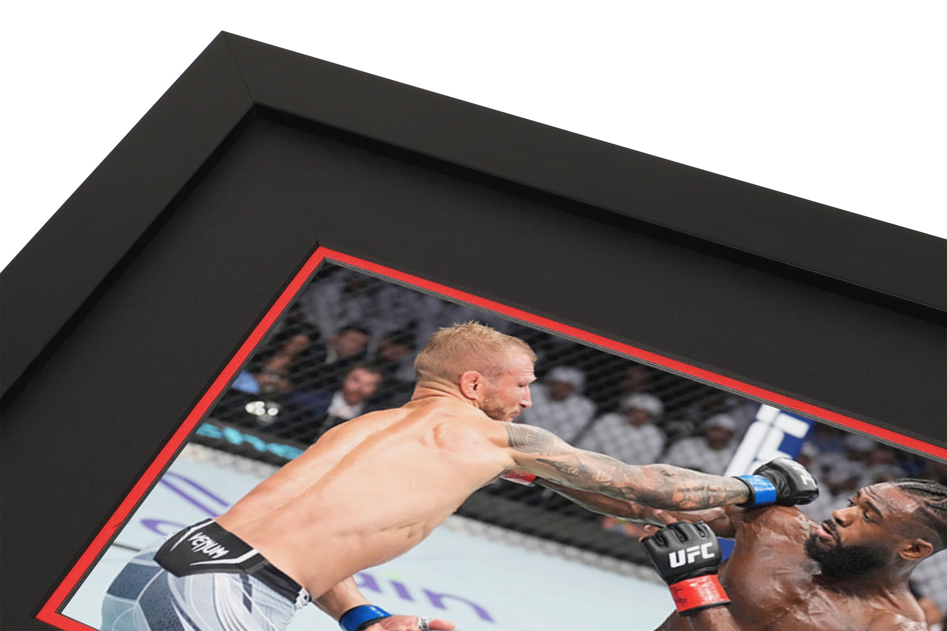 UFC 280: Sterling vs Dillashaw Canvas & Photo