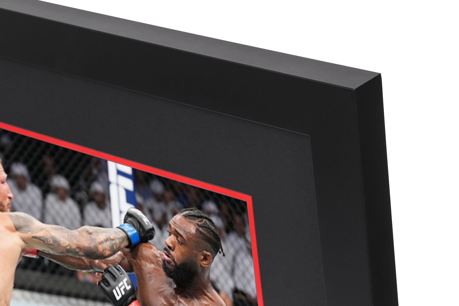 UFC 280: Sterling vs Dillashaw Canvas & Photo